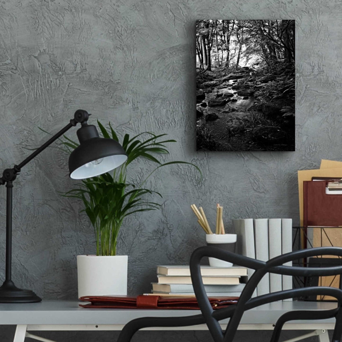 Epic Art 'Lush Creek in Forest BW' by Debra Van Swearingen, Acrylic Glass Wall Art,12x16