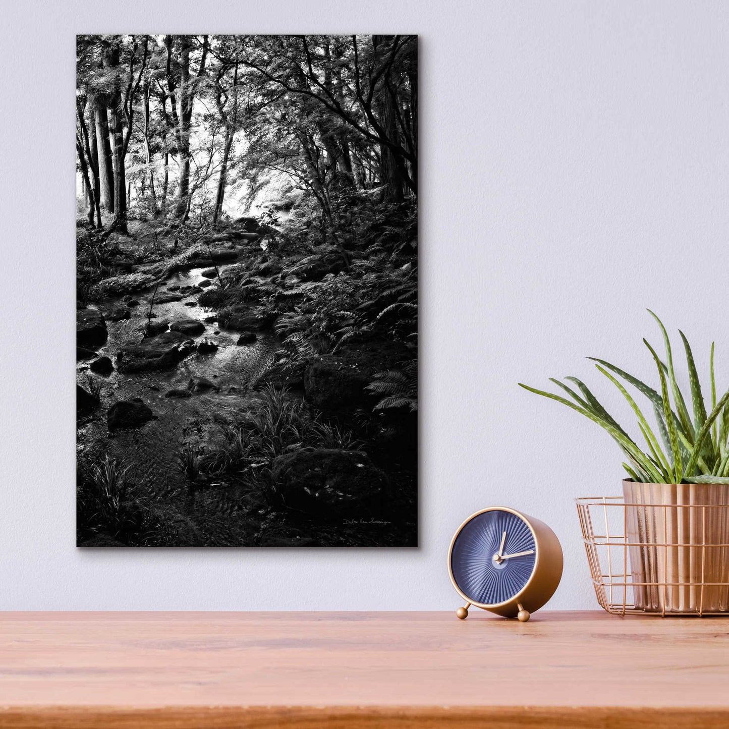 Epic Art 'Lush Creek in Forest BW' by Debra Van Swearingen, Acrylic Glass Wall Art,12x16