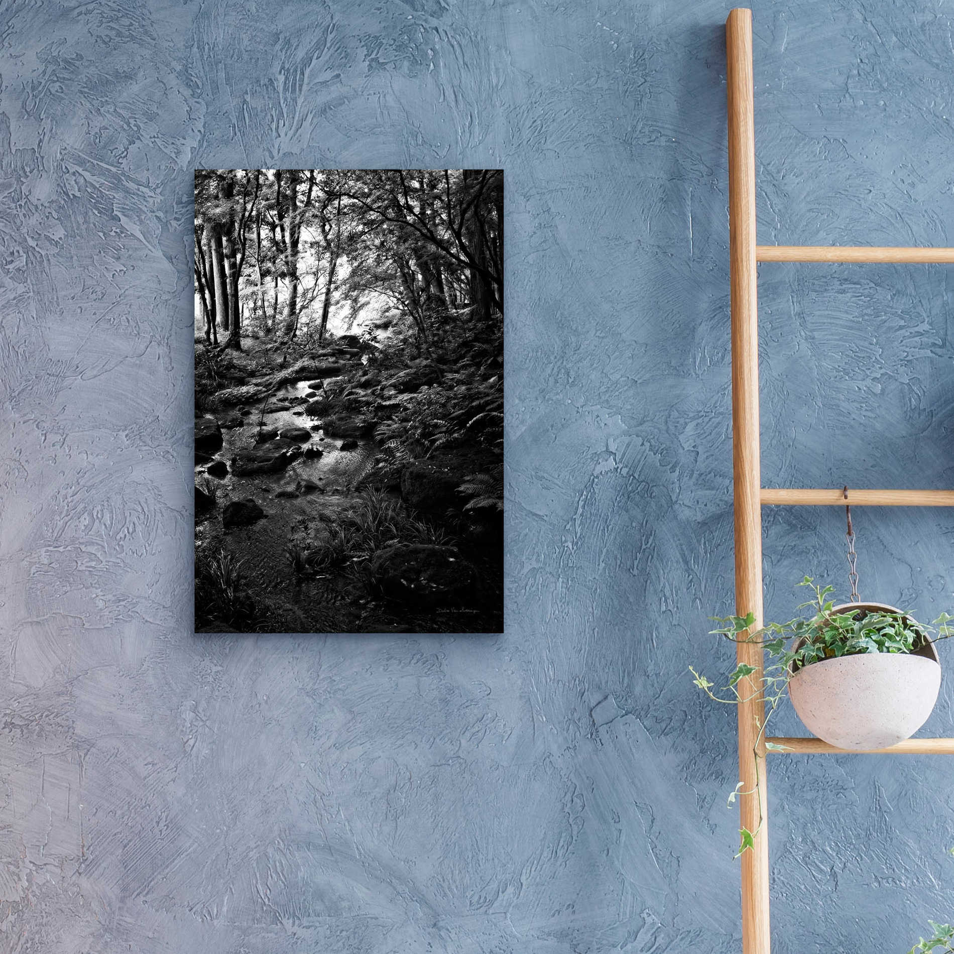 Epic Art 'Lush Creek in Forest BW' by Debra Van Swearingen, Acrylic Glass Wall Art,16x24