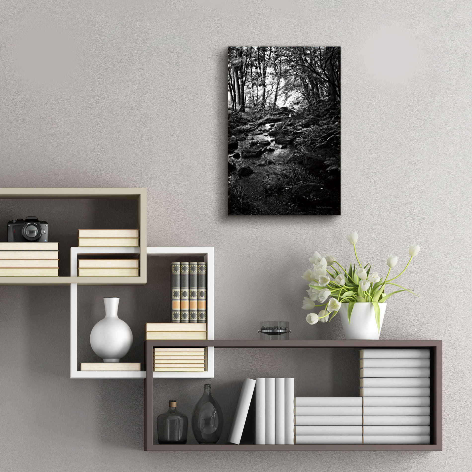 Epic Art 'Lush Creek in Forest BW' by Debra Van Swearingen, Acrylic Glass Wall Art,16x24