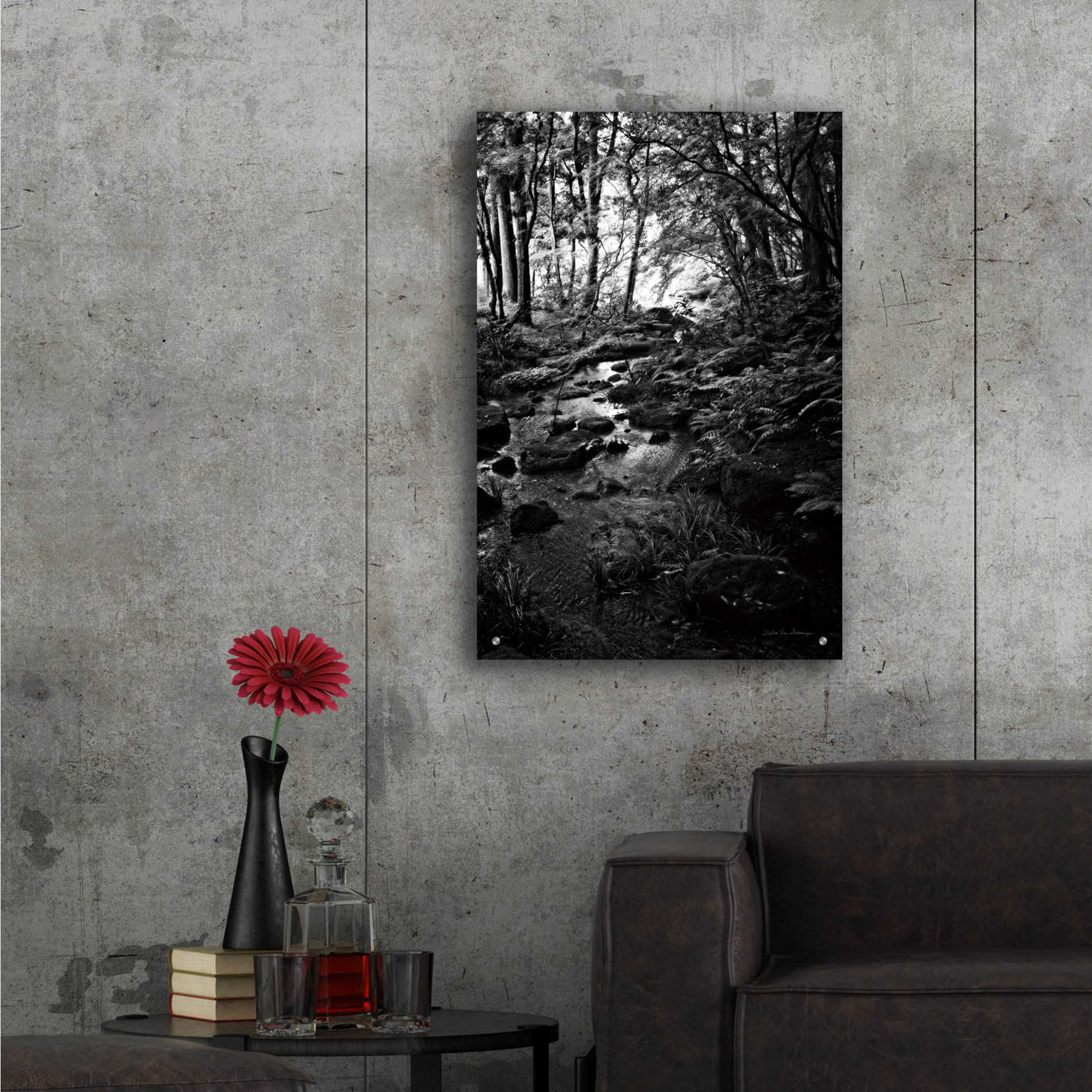 Epic Art 'Lush Creek in Forest BW' by Debra Van Swearingen, Acrylic Glass Wall Art,24x36