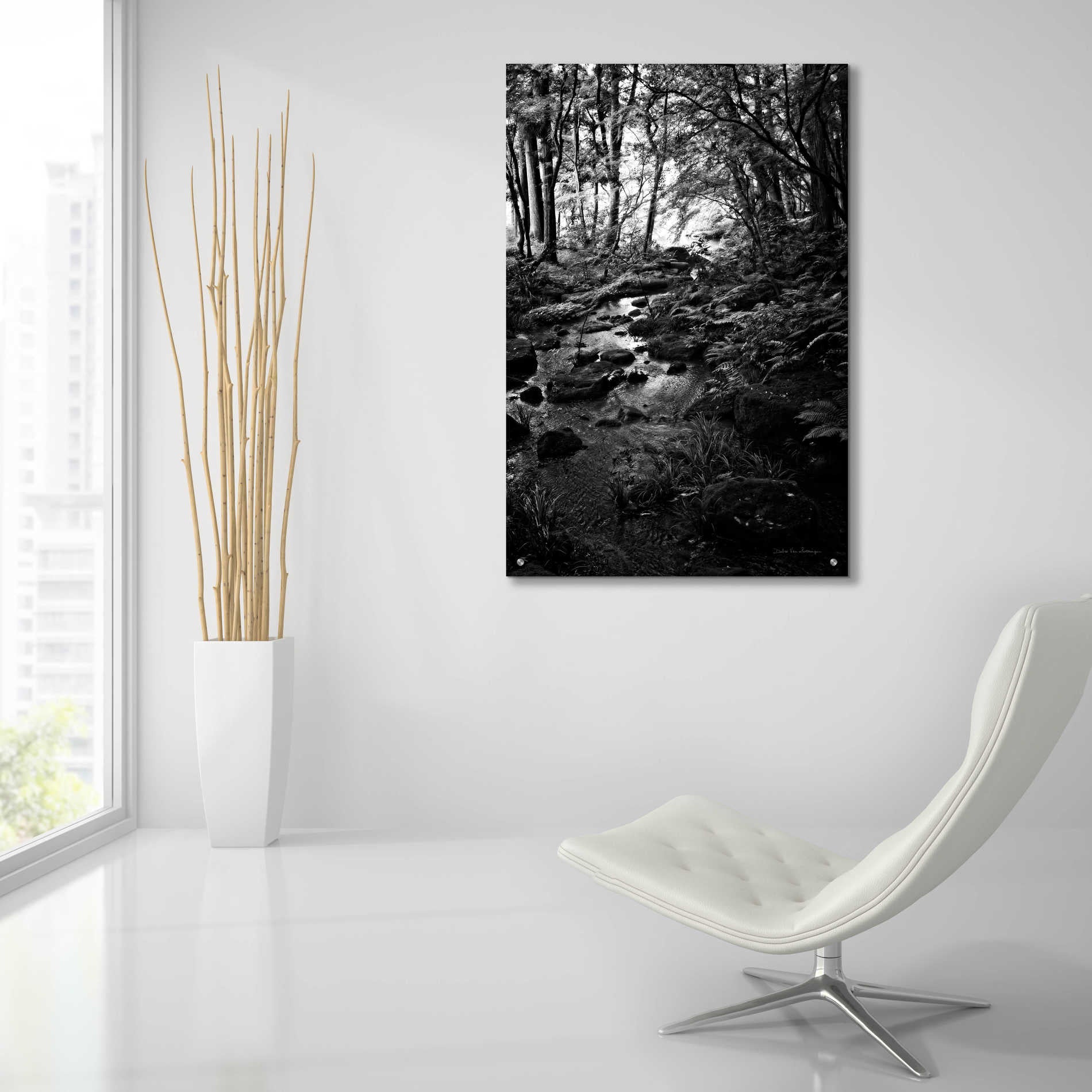 Epic Art 'Lush Creek in Forest BW' by Debra Van Swearingen, Acrylic Glass Wall Art,24x36