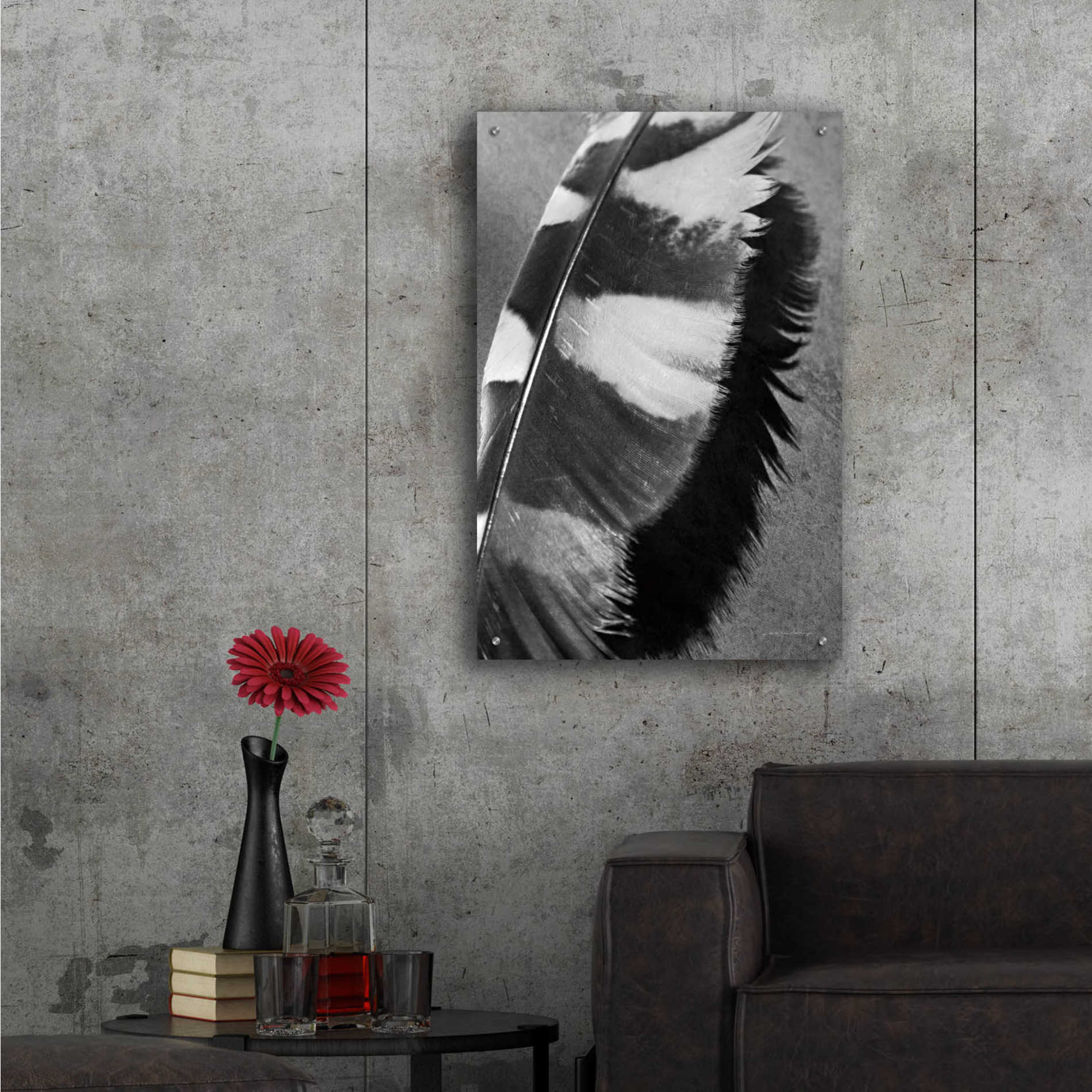 Epic Art 'Feather Shadow I' by Debra Van Swearingen, Acrylic Glass Wall Art,24x36