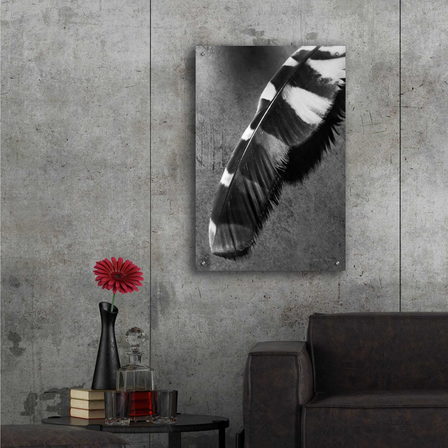 Epic Art 'Feather Shadow II' by Debra Van Swearingen, Acrylic Glass Wall Art,24x36