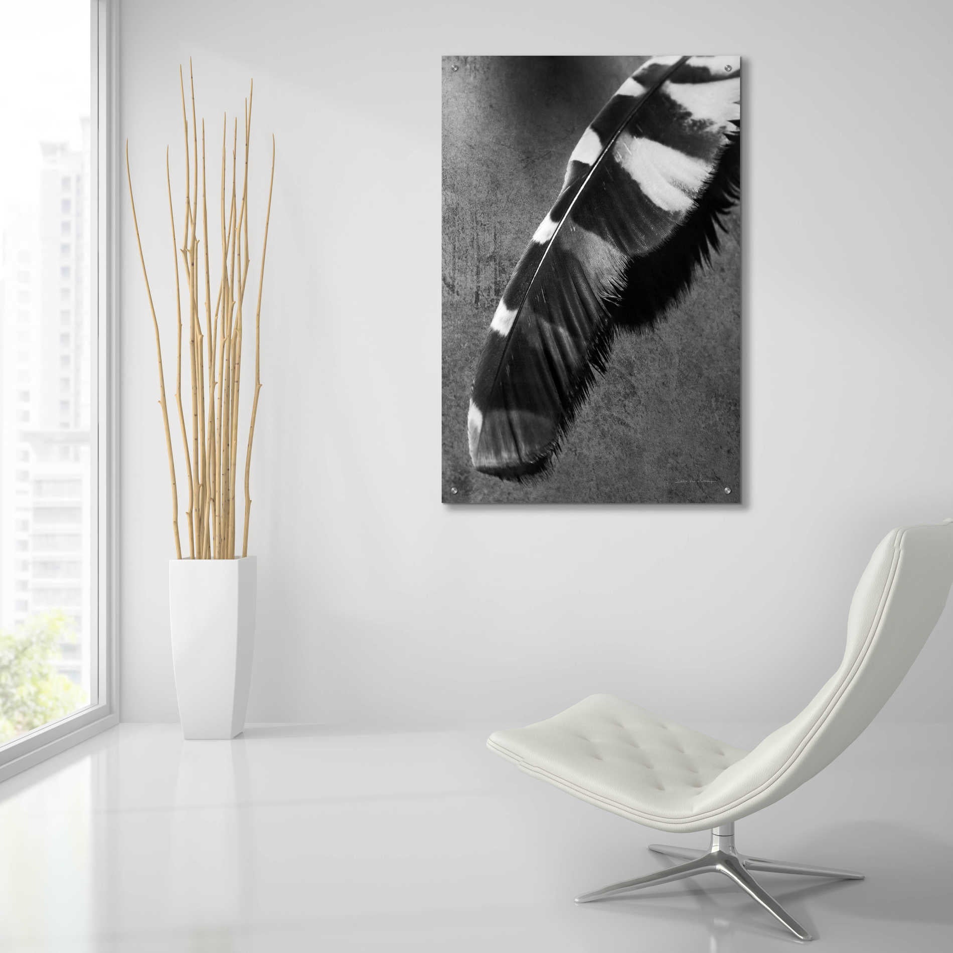 Epic Art 'Feather Shadow II' by Debra Van Swearingen, Acrylic Glass Wall Art,24x36