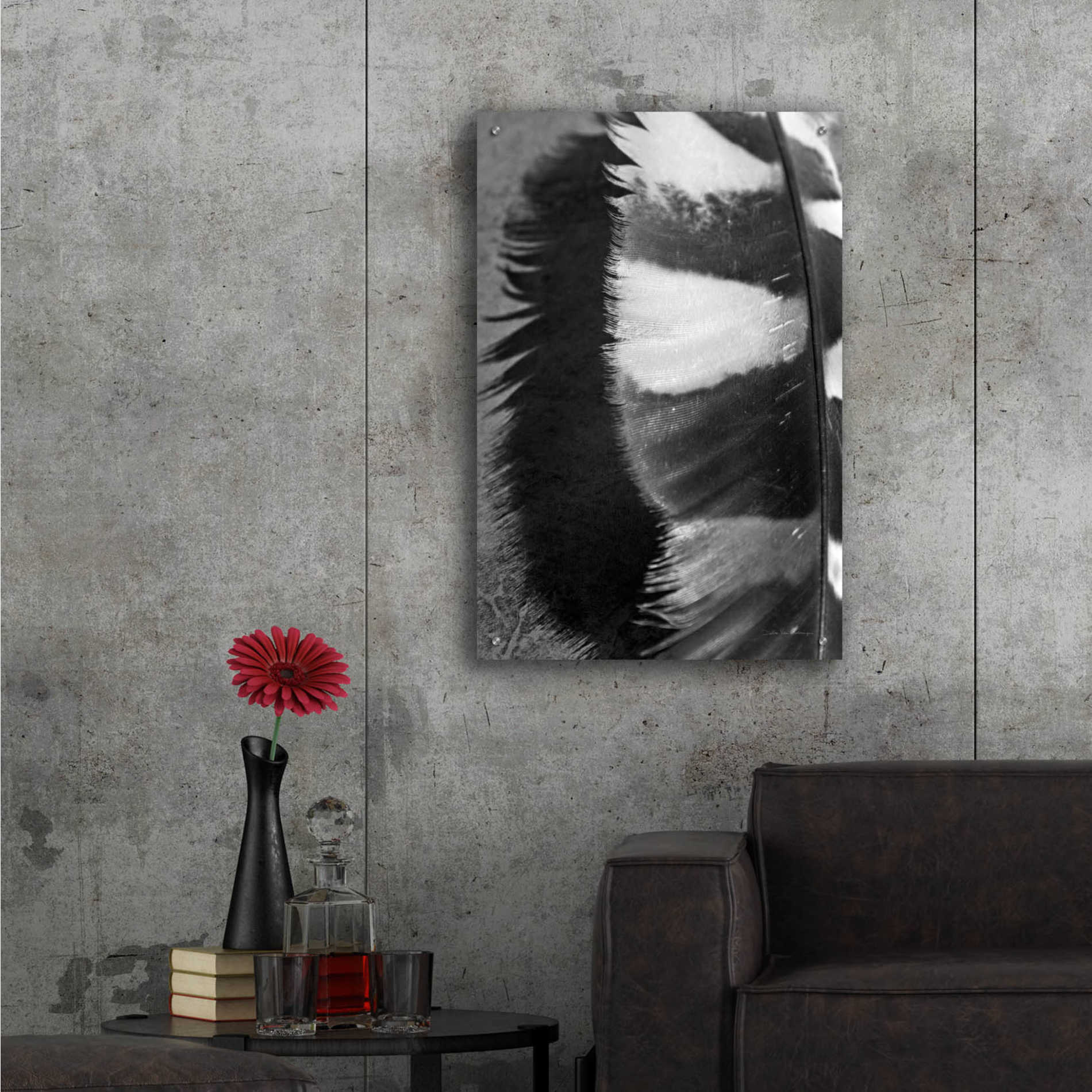 Epic Art 'Feather Shadow III' by Debra Van Swearingen, Acrylic Glass Wall Art,24x36