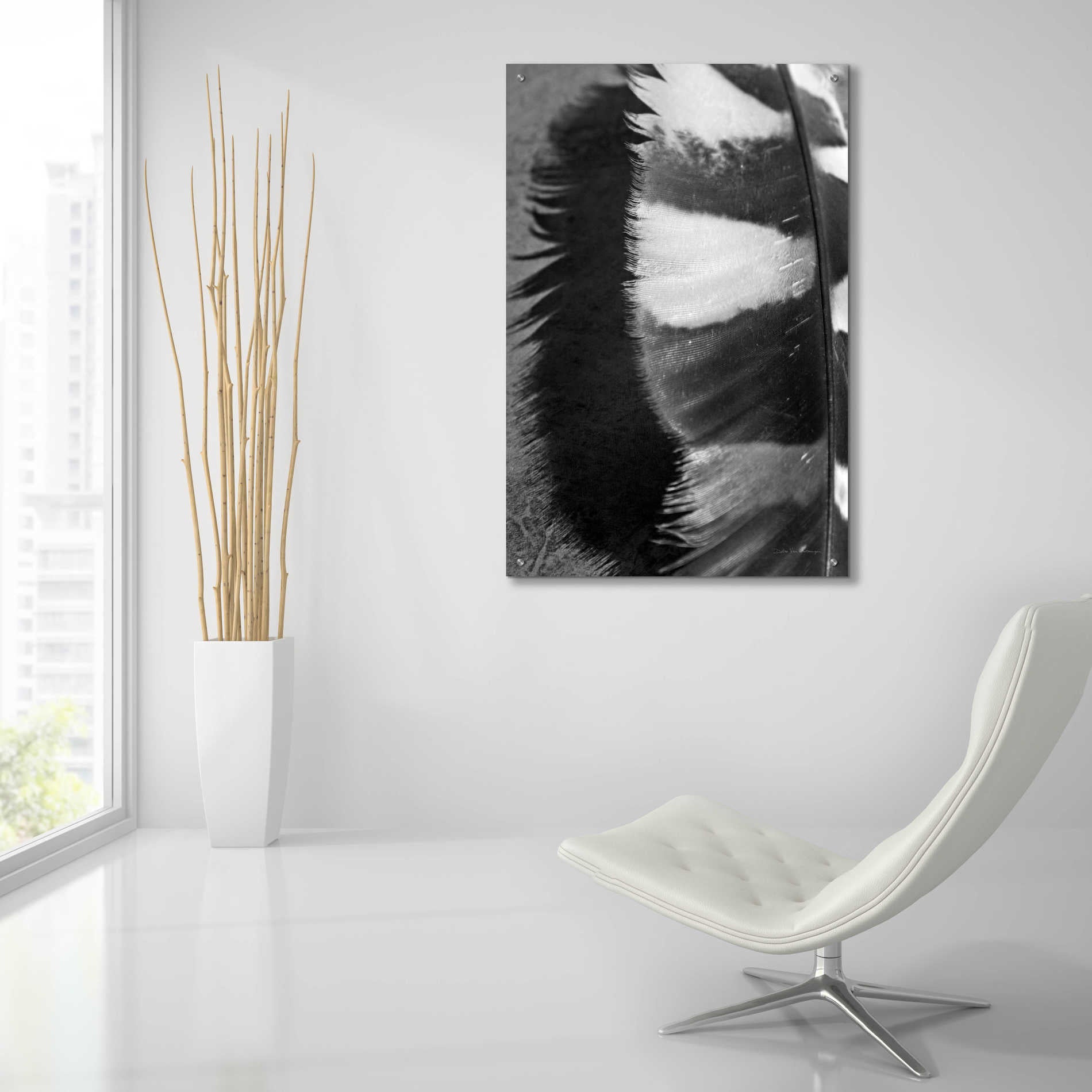 Epic Art 'Feather Shadow III' by Debra Van Swearingen, Acrylic Glass Wall Art,24x36