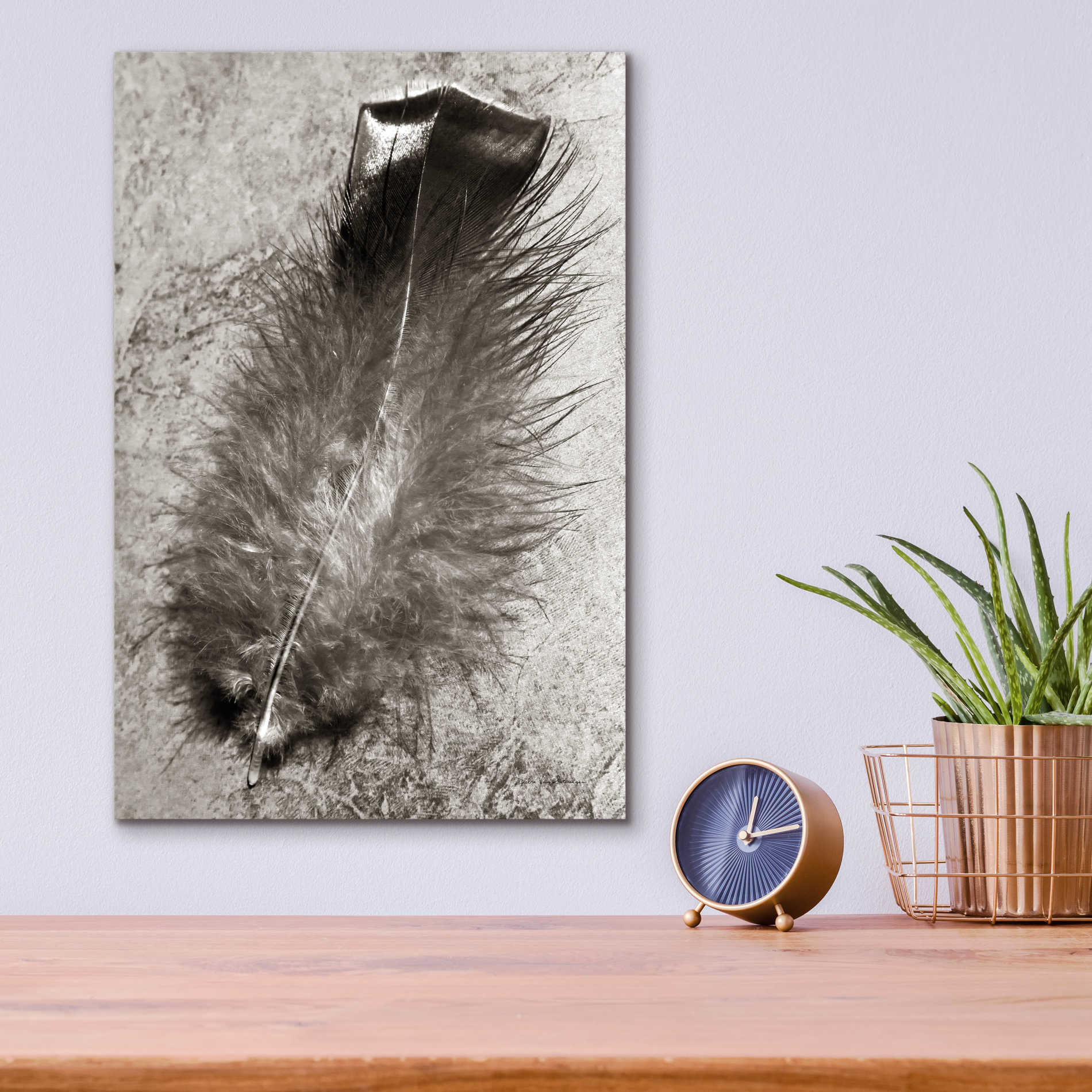 Epic Art 'Feather Shadow IV' by Debra Van Swearingen, Acrylic Glass Wall Art,12x16