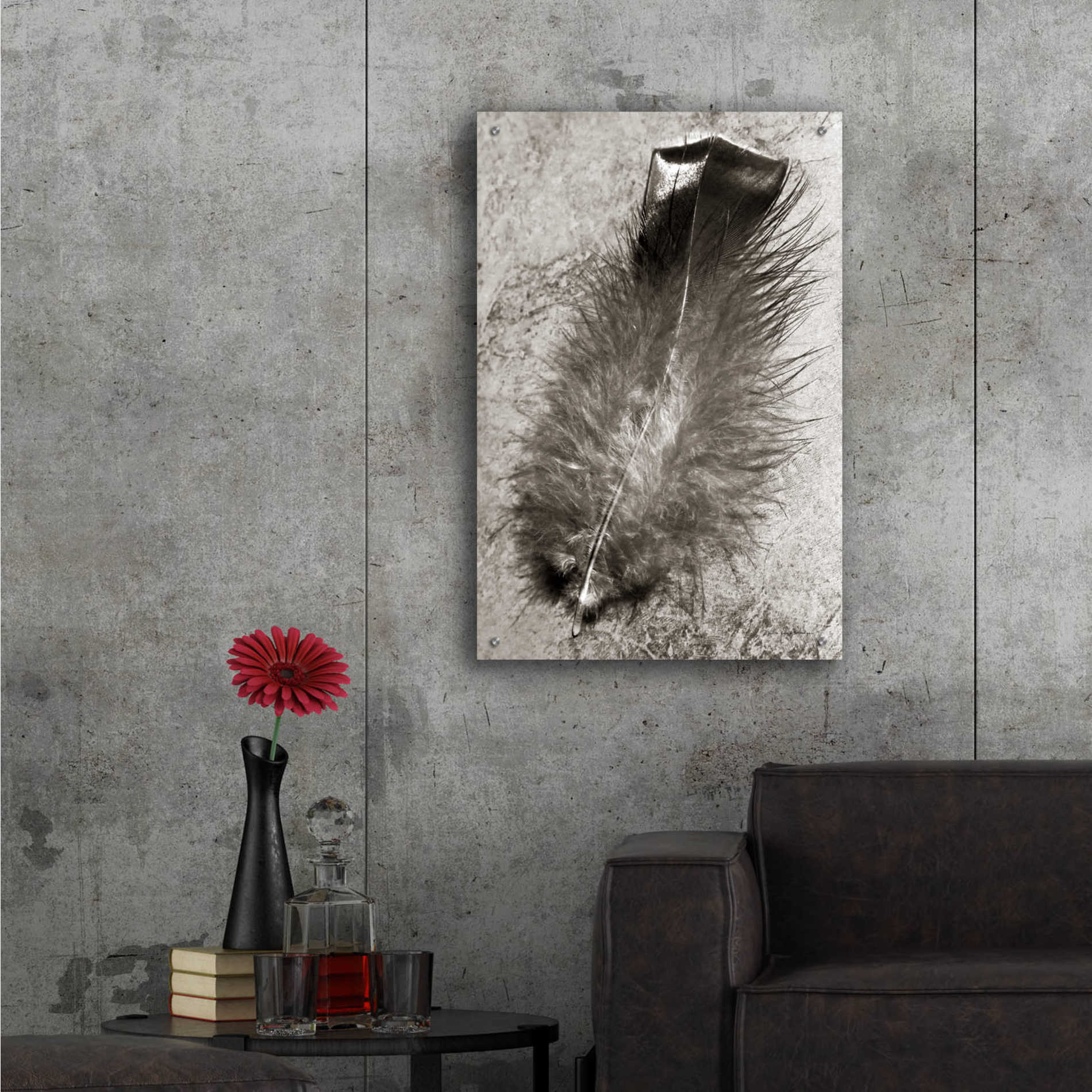 Epic Art 'Feather Shadow IV' by Debra Van Swearingen, Acrylic Glass Wall Art,24x36