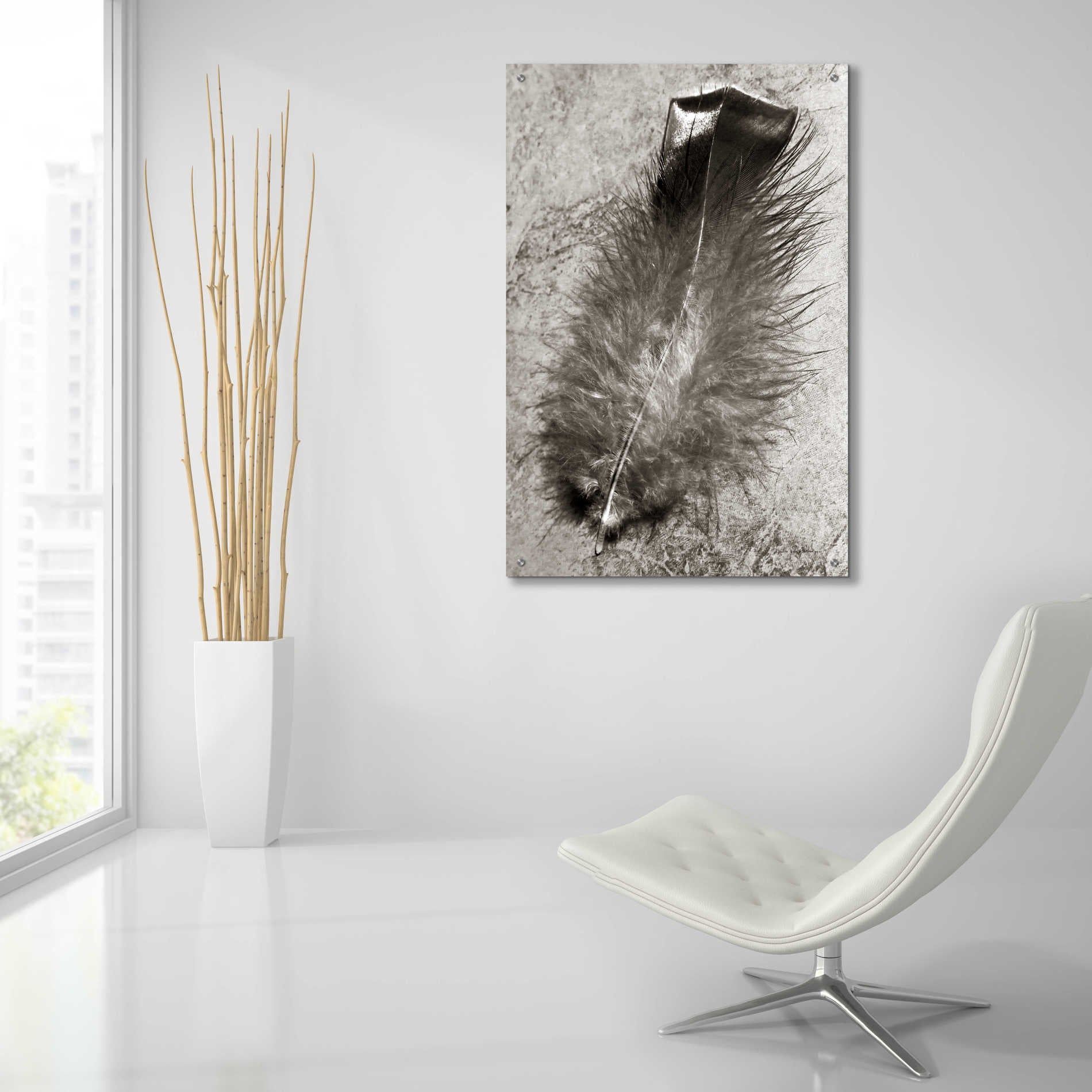 Epic Art 'Feather Shadow IV' by Debra Van Swearingen, Acrylic Glass Wall Art,24x36