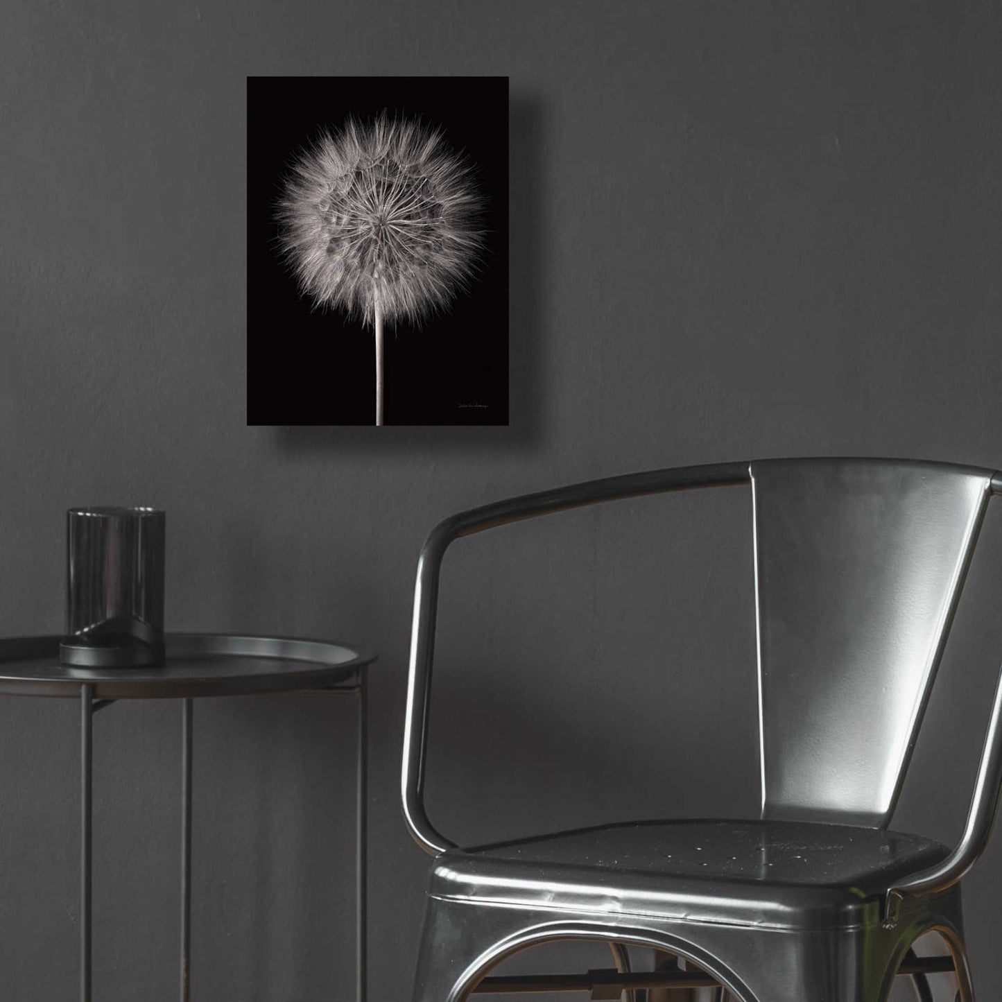 Epic Art 'Dandelion Fluff on Black' by Debra Van Swearingen, Acrylic Glass Wall Art,12x16