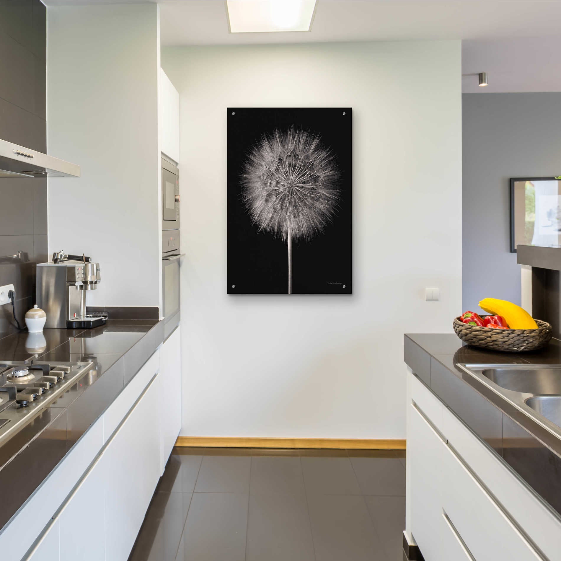 Epic Art 'Dandelion Fluff on Black' by Debra Van Swearingen, Acrylic Glass Wall Art,24x36