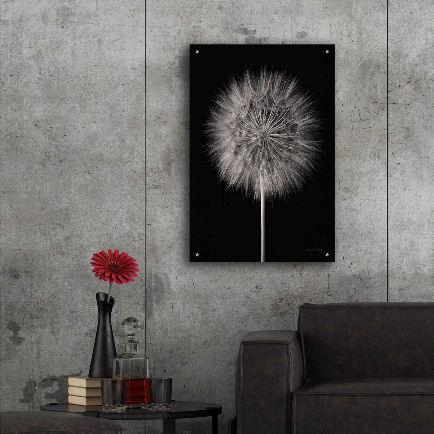 Epic Art 'Dandelion Fluff on Black' by Debra Van Swearingen, Acrylic Glass Wall Art,24x36