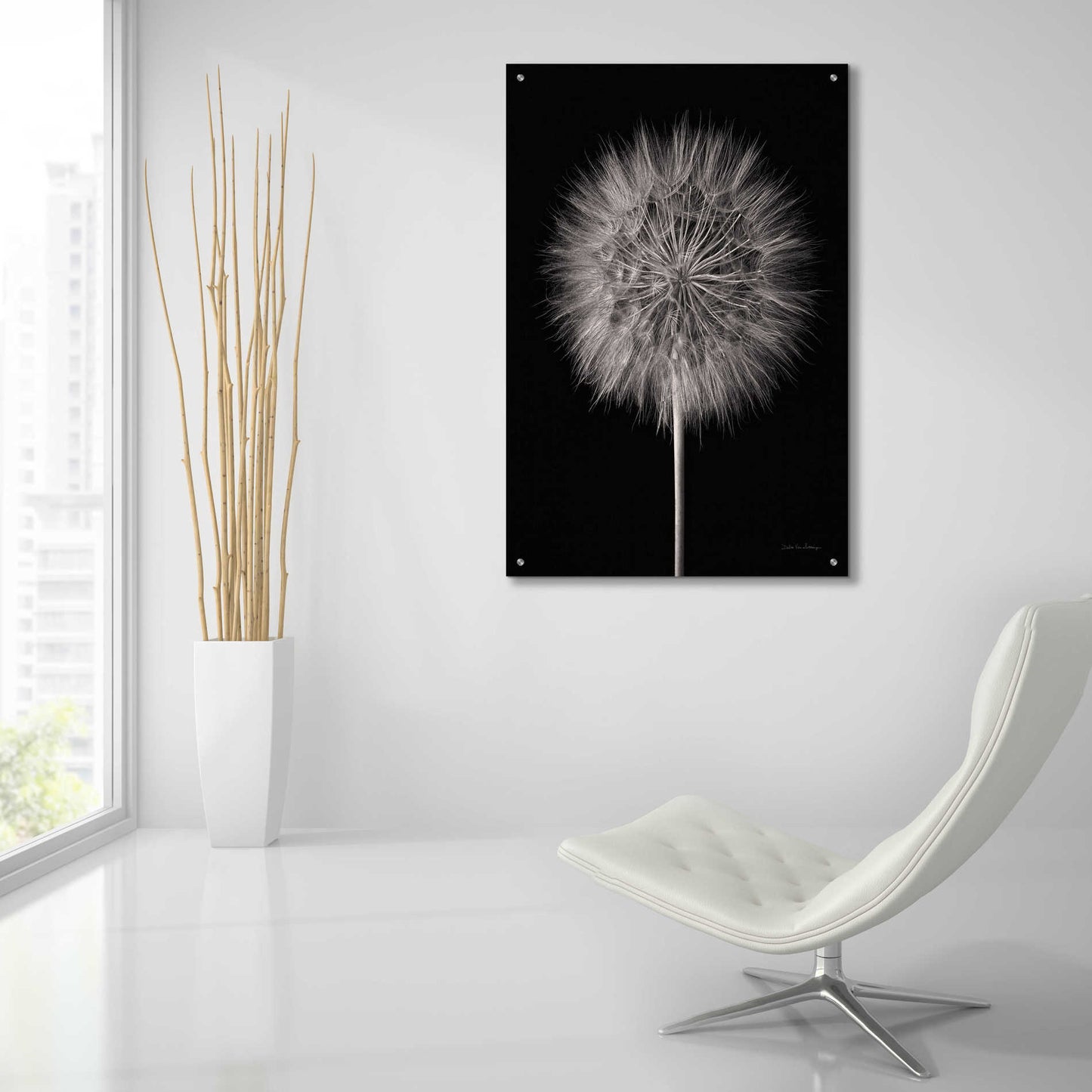 Epic Art 'Dandelion Fluff on Black' by Debra Van Swearingen, Acrylic Glass Wall Art,24x36