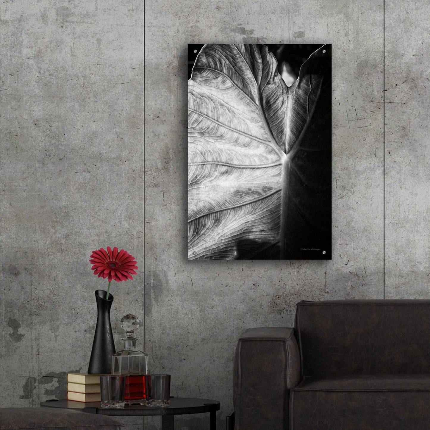 Epic Art 'Elephant Ear I' by Debra Van Swearingen, Acrylic Glass Wall Art,24x36