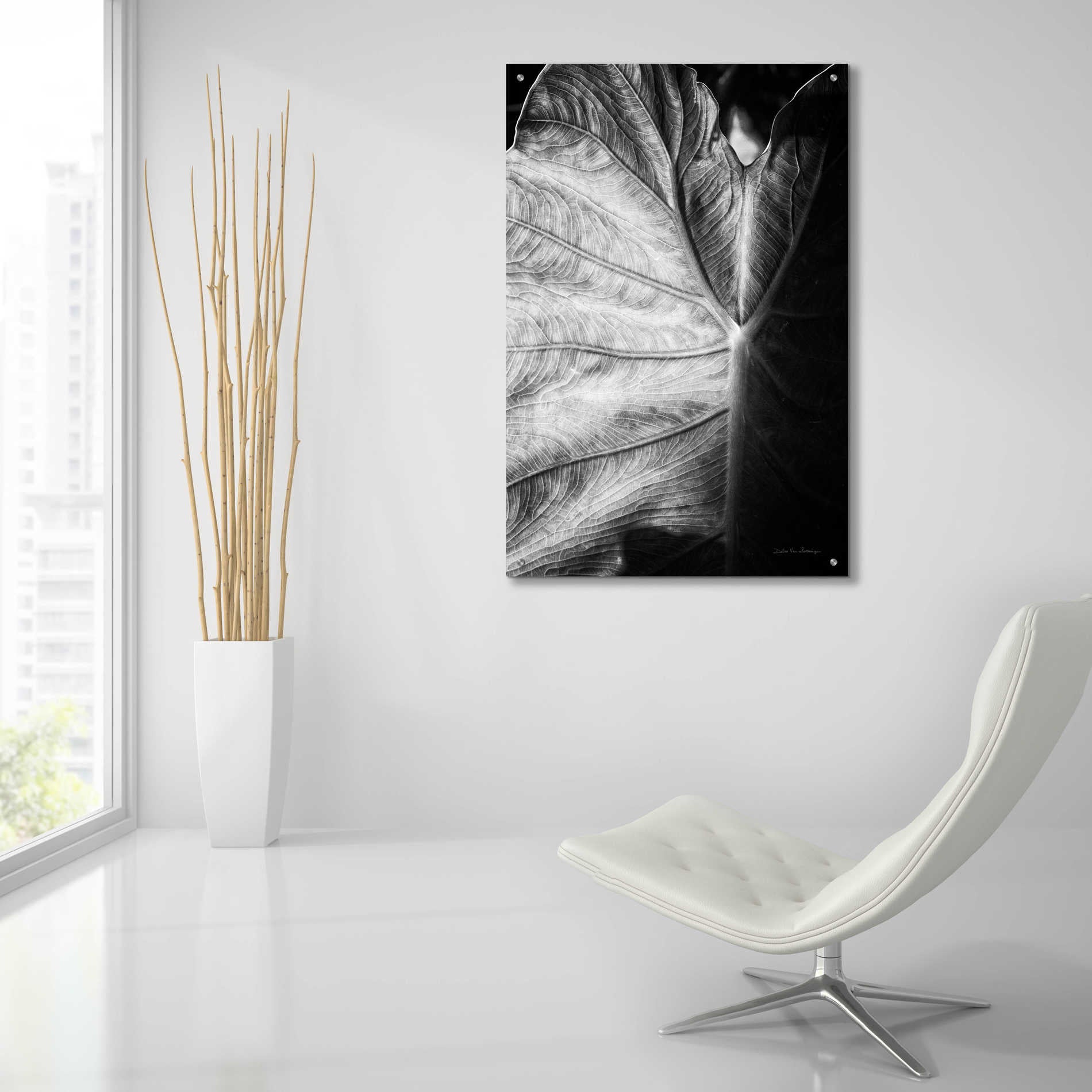 Epic Art 'Elephant Ear I' by Debra Van Swearingen, Acrylic Glass Wall Art,24x36