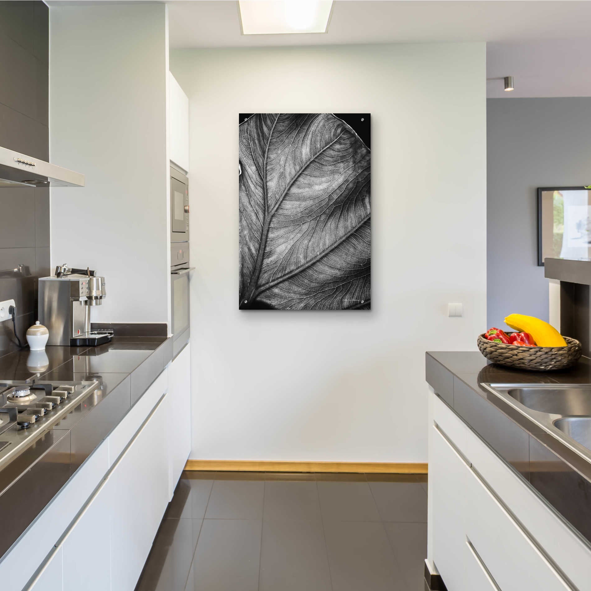 Epic Art 'Elephant Ear II' by Debra Van Swearingen, Acrylic Glass Wall Art,24x36