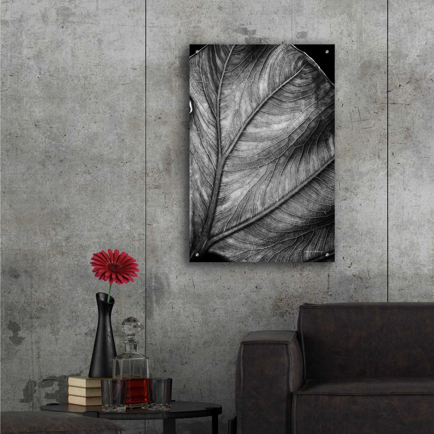 Epic Art 'Elephant Ear II' by Debra Van Swearingen, Acrylic Glass Wall Art,24x36