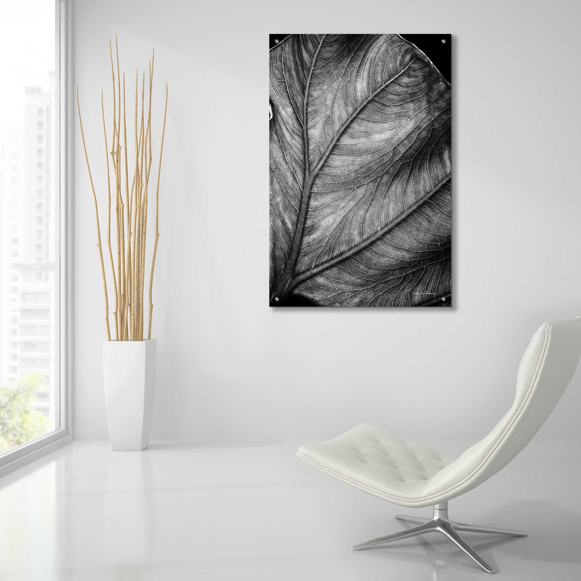 Epic Art 'Elephant Ear II' by Debra Van Swearingen, Acrylic Glass Wall Art,24x36