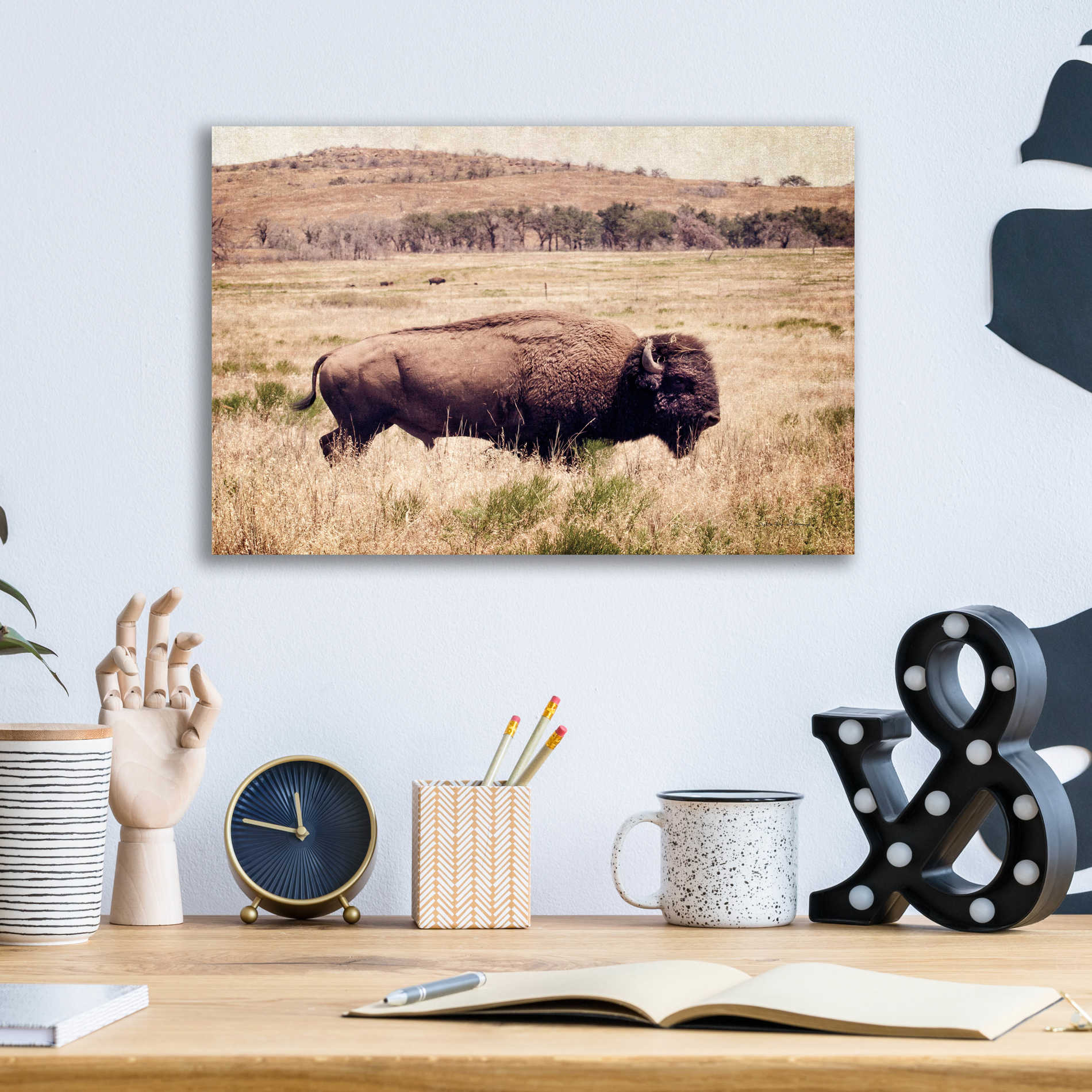 Epic Art 'Buffalo I' by Debra Van Swearingen, Acrylic Glass Wall Art,16x12