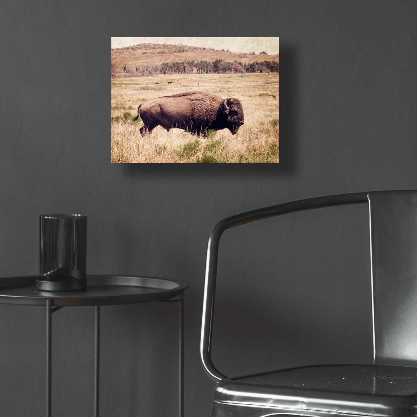 Epic Art 'Buffalo I' by Debra Van Swearingen, Acrylic Glass Wall Art,16x12