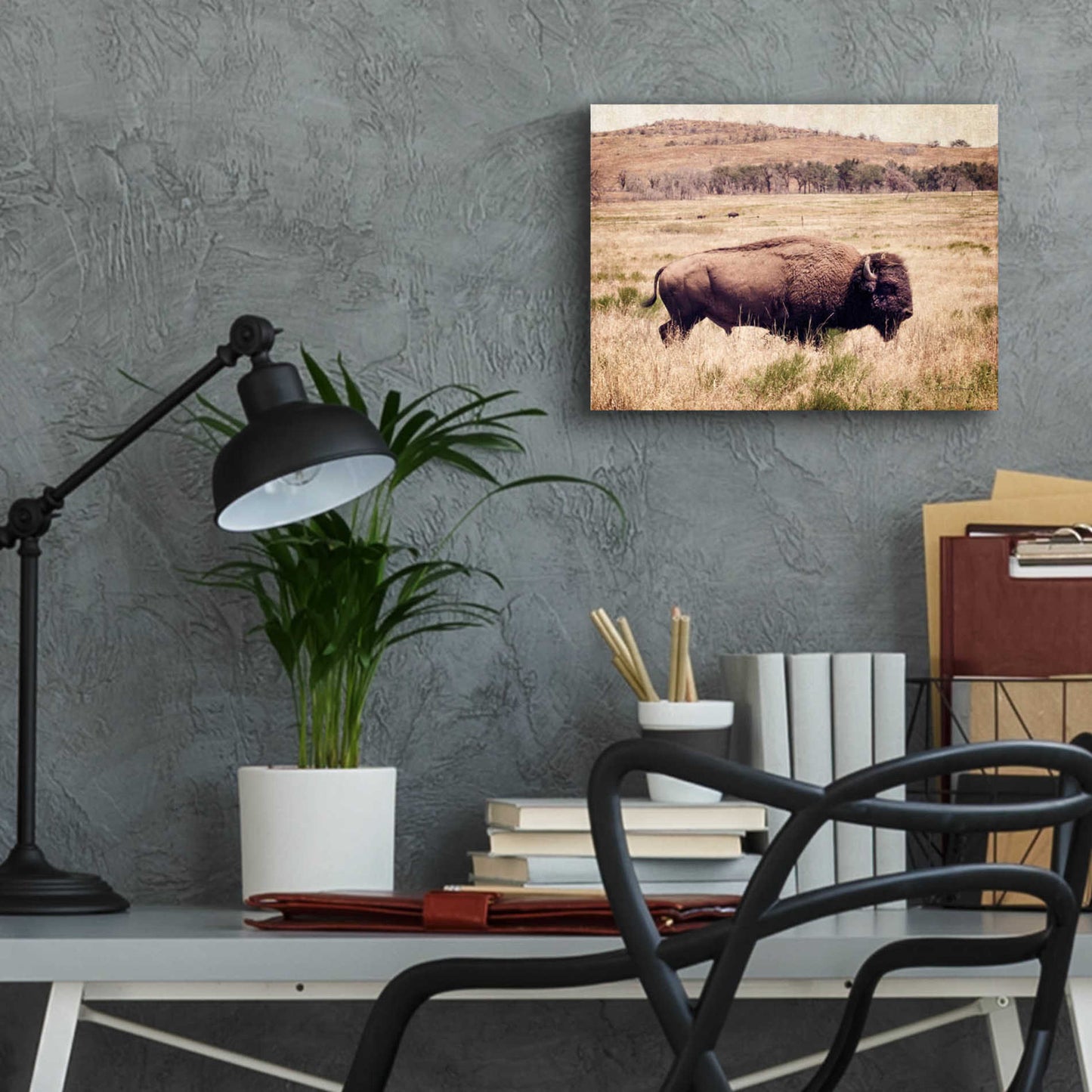 Epic Art 'Buffalo I' by Debra Van Swearingen, Acrylic Glass Wall Art,16x12