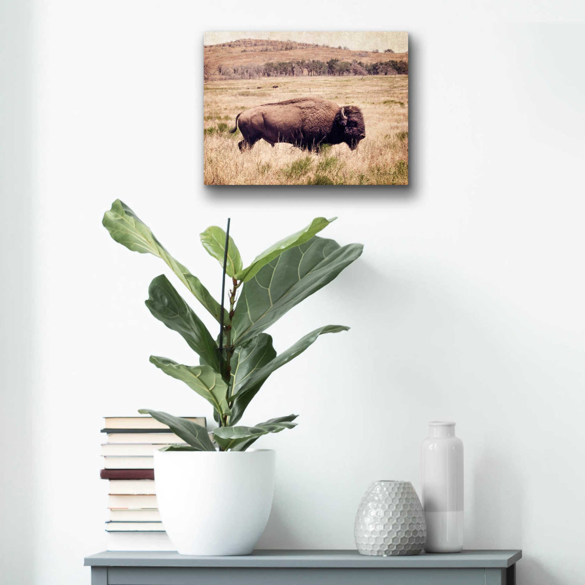 Epic Art 'Buffalo I' by Debra Van Swearingen, Acrylic Glass Wall Art,16x12