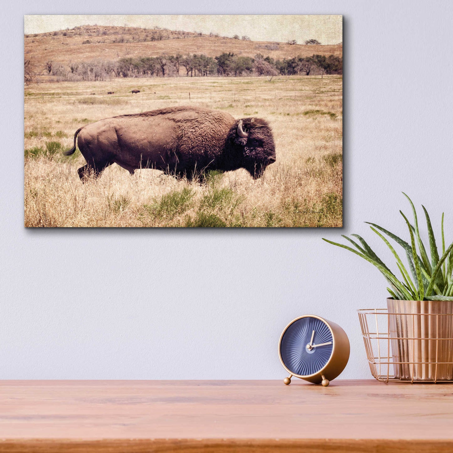 Epic Art 'Buffalo I' by Debra Van Swearingen, Acrylic Glass Wall Art,16x12