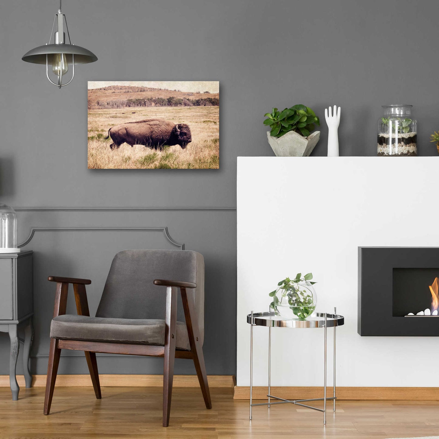 Epic Art 'Buffalo I' by Debra Van Swearingen, Acrylic Glass Wall Art,24x16