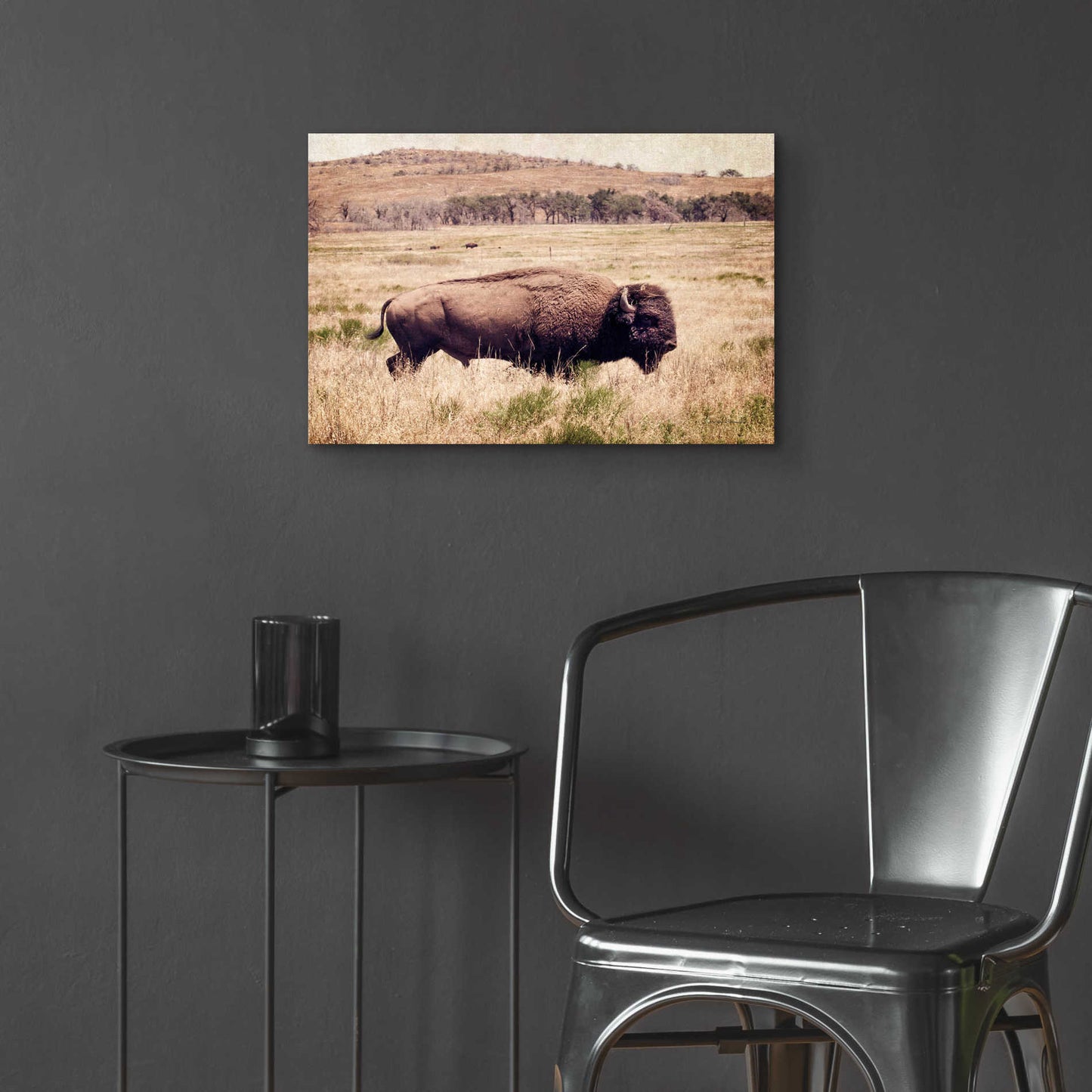 Epic Art 'Buffalo I' by Debra Van Swearingen, Acrylic Glass Wall Art,24x16