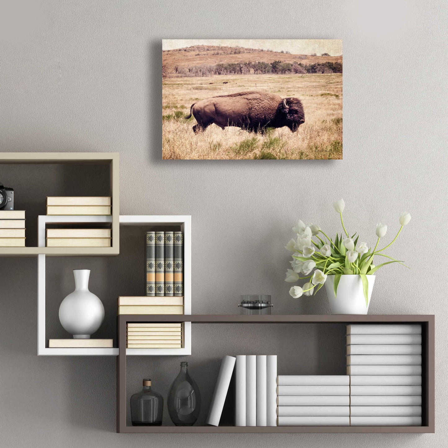 Epic Art 'Buffalo I' by Debra Van Swearingen, Acrylic Glass Wall Art,24x16