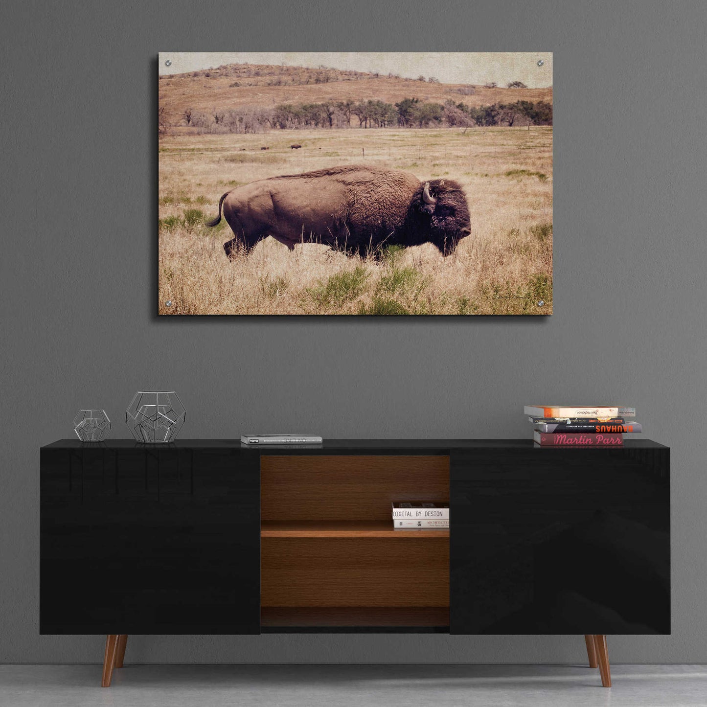 Epic Art 'Buffalo I' by Debra Van Swearingen, Acrylic Glass Wall Art,36x24