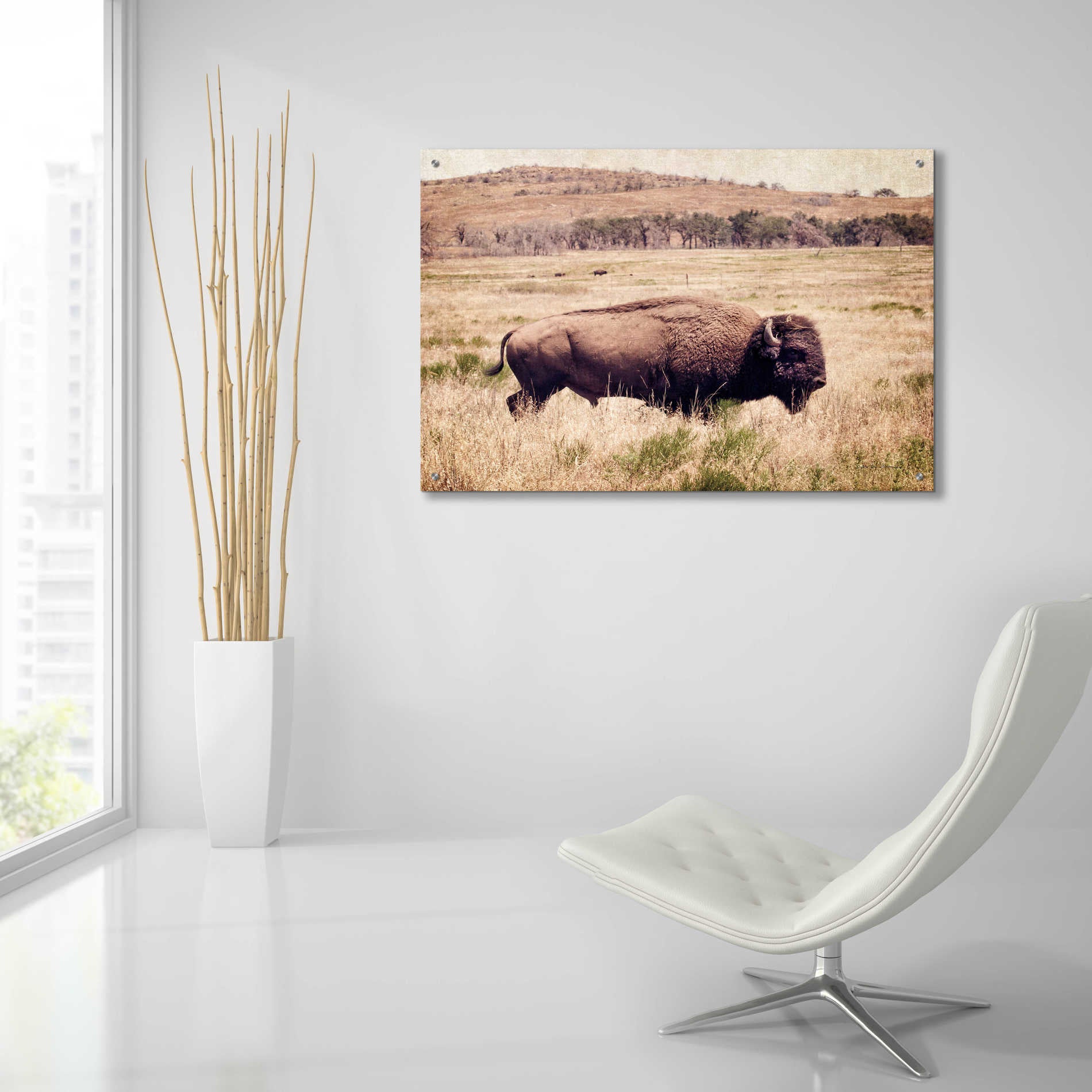 Epic Art 'Buffalo I' by Debra Van Swearingen, Acrylic Glass Wall Art,36x24