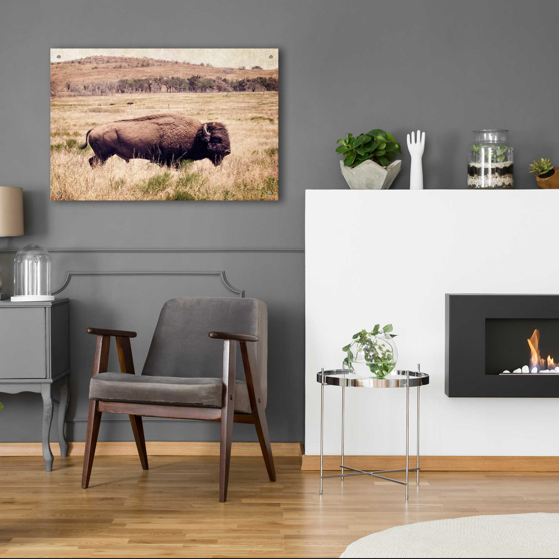 Epic Art 'Buffalo I' by Debra Van Swearingen, Acrylic Glass Wall Art,36x24