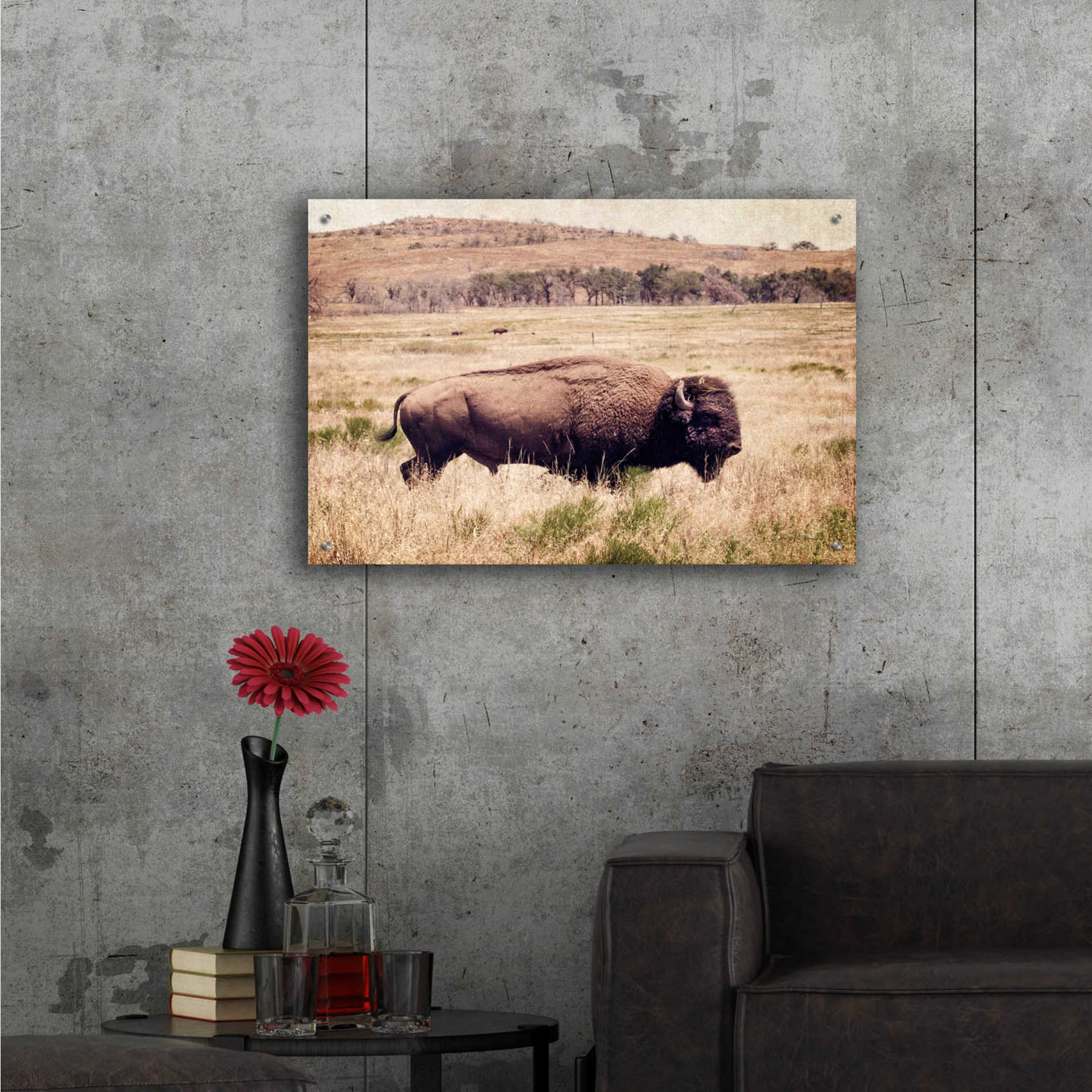 Epic Art 'Buffalo I' by Debra Van Swearingen, Acrylic Glass Wall Art,36x24