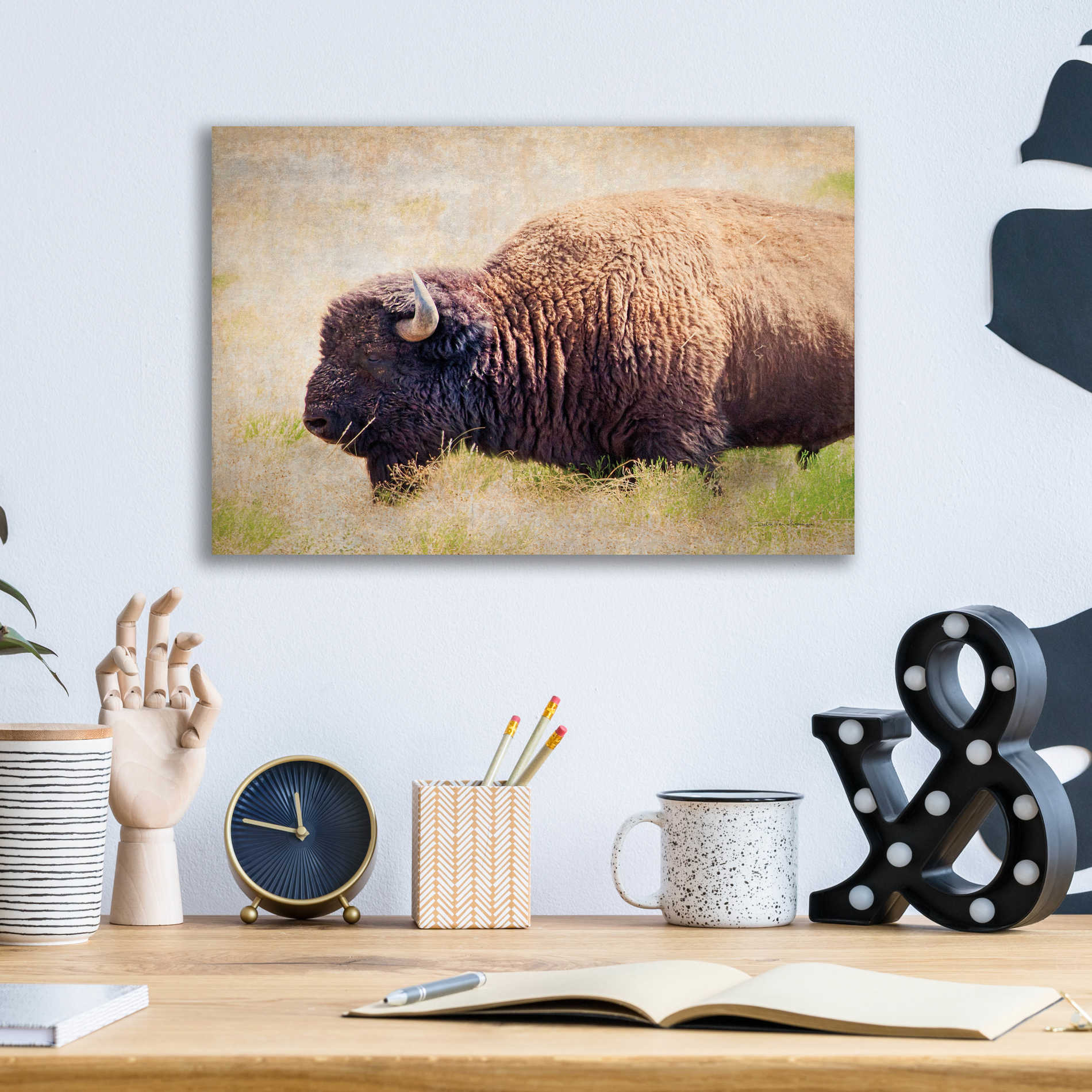 Epic Art 'Buffalo II' by Debra Van Swearingen, Acrylic Glass Wall Art,16x12