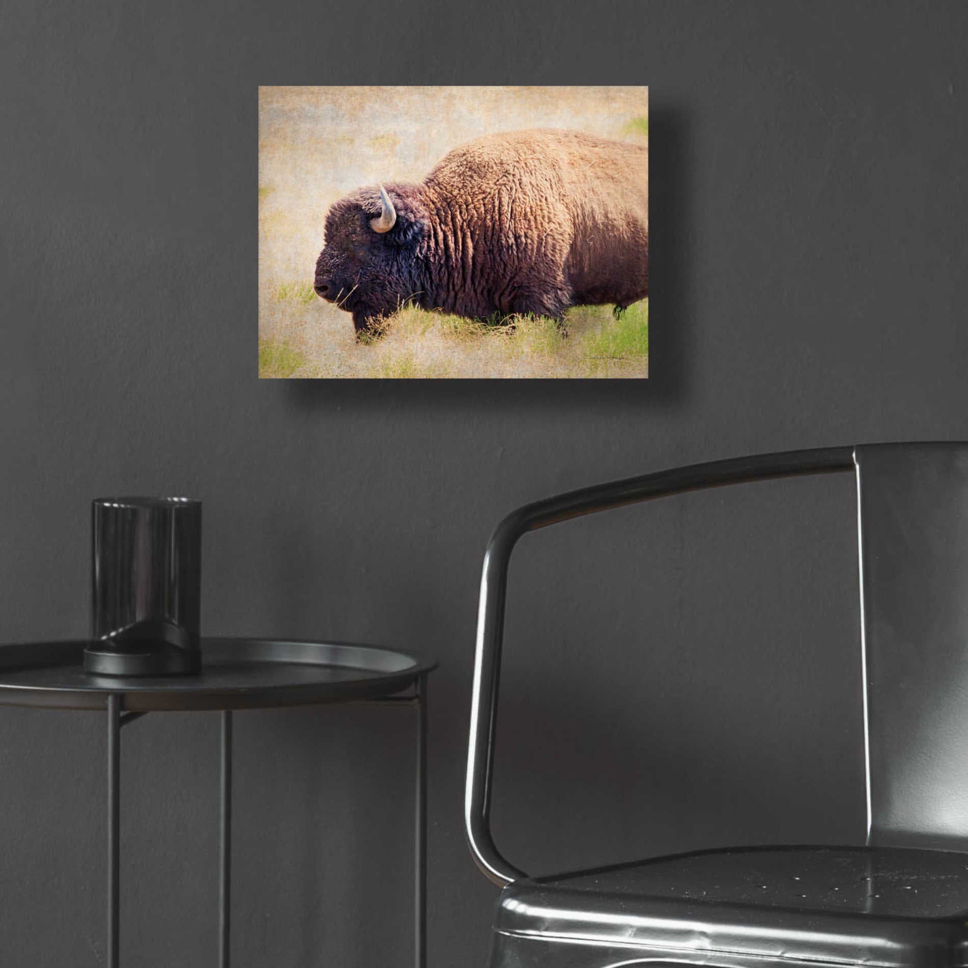 Epic Art 'Buffalo II' by Debra Van Swearingen, Acrylic Glass Wall Art,16x12