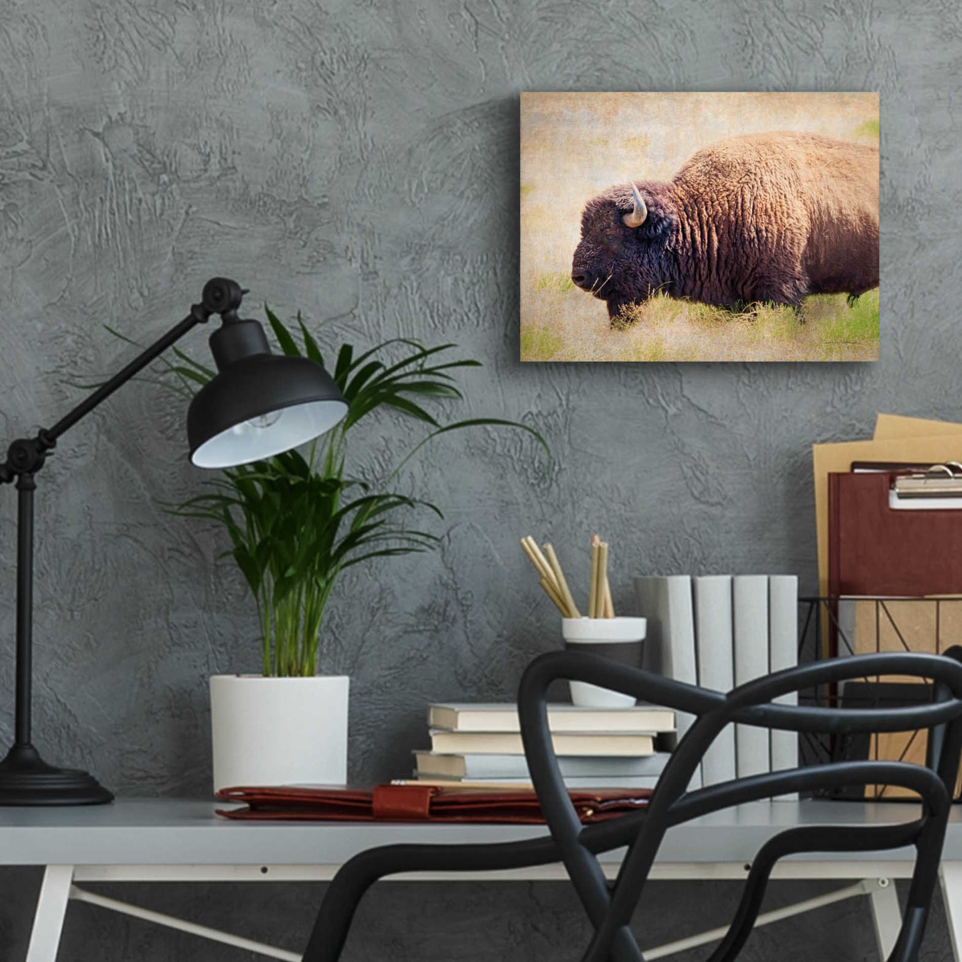 Epic Art 'Buffalo II' by Debra Van Swearingen, Acrylic Glass Wall Art,16x12