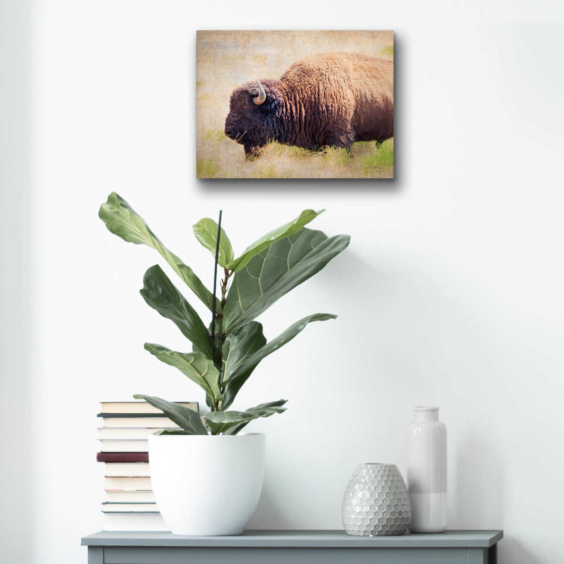 Epic Art 'Buffalo II' by Debra Van Swearingen, Acrylic Glass Wall Art,16x12