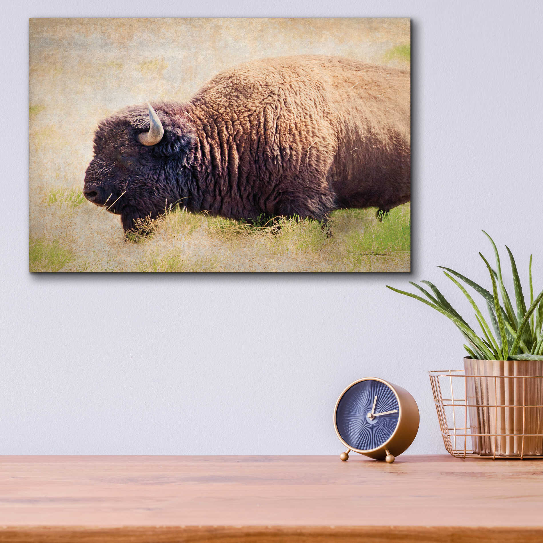 Epic Art 'Buffalo II' by Debra Van Swearingen, Acrylic Glass Wall Art,16x12