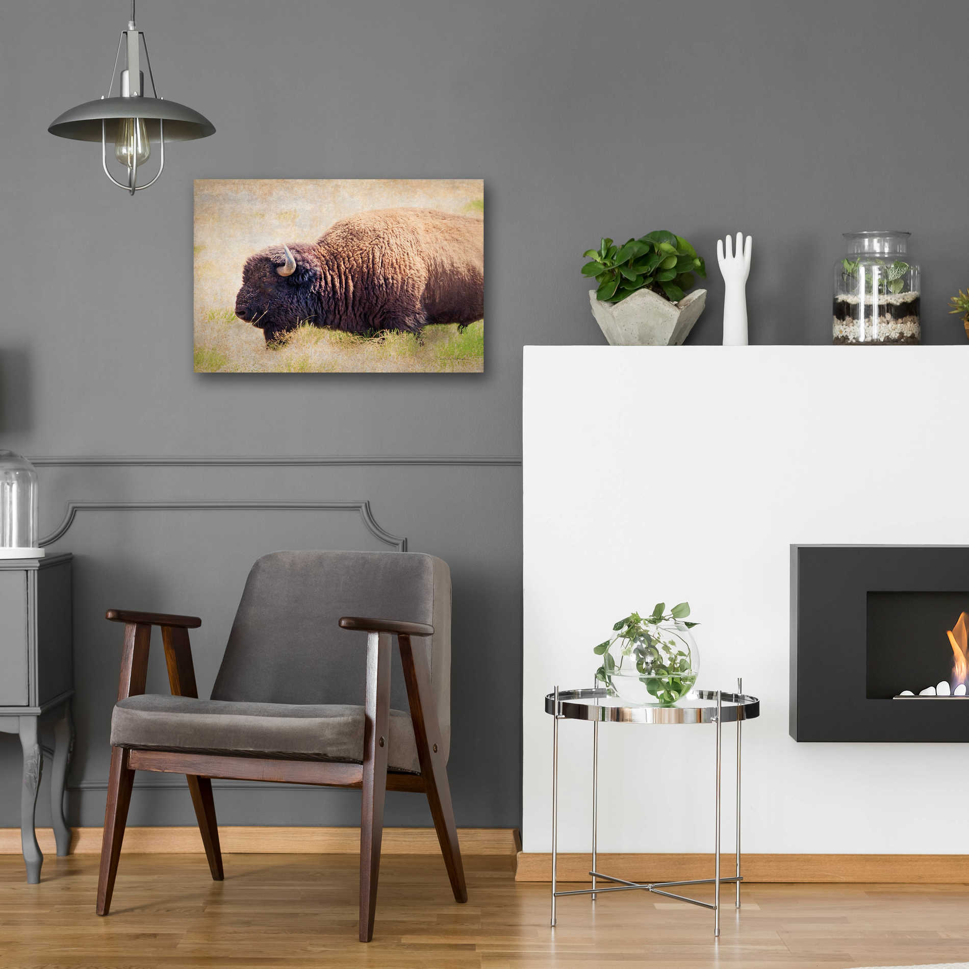 Epic Art 'Buffalo II' by Debra Van Swearingen, Acrylic Glass Wall Art,24x16