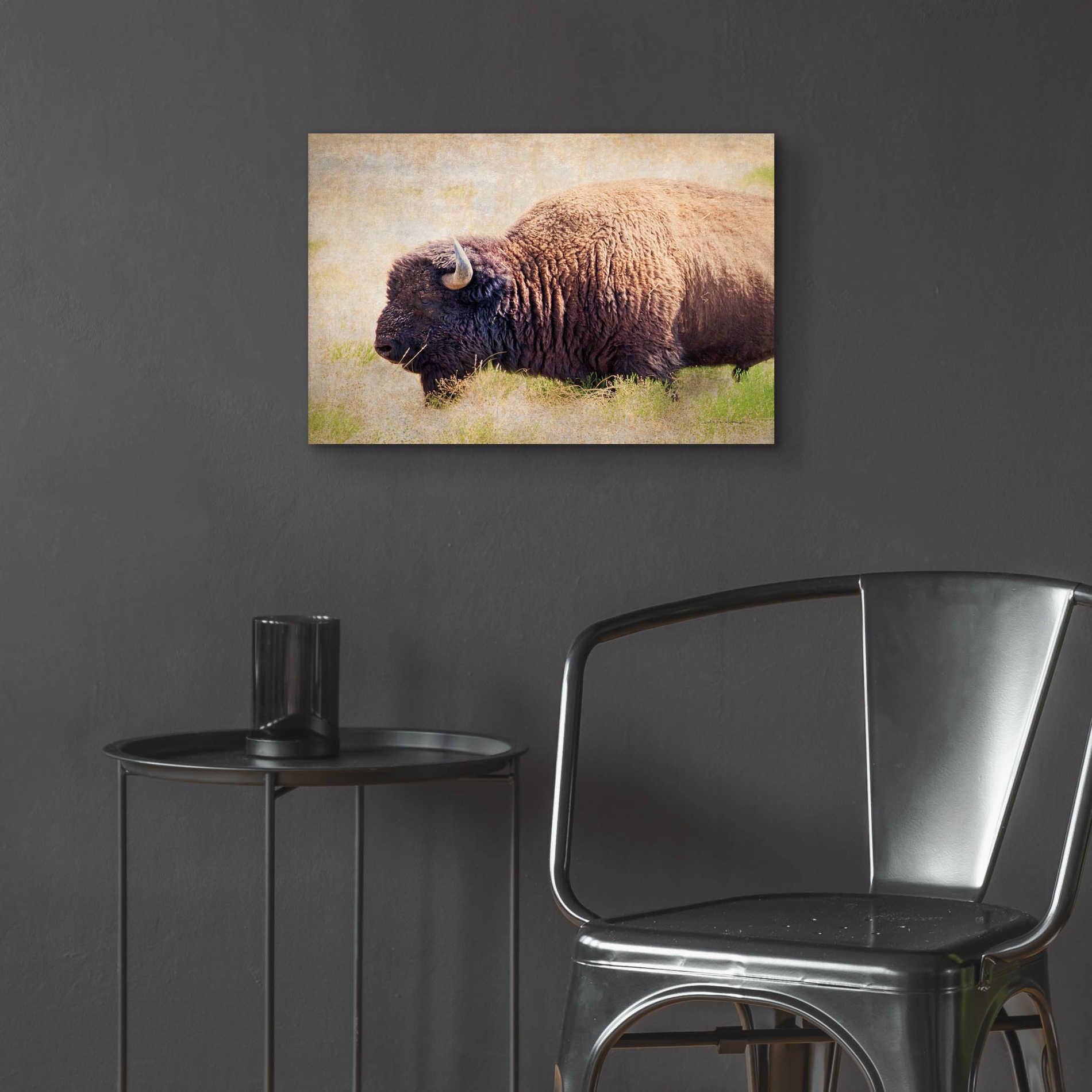 Epic Art 'Buffalo II' by Debra Van Swearingen, Acrylic Glass Wall Art,24x16