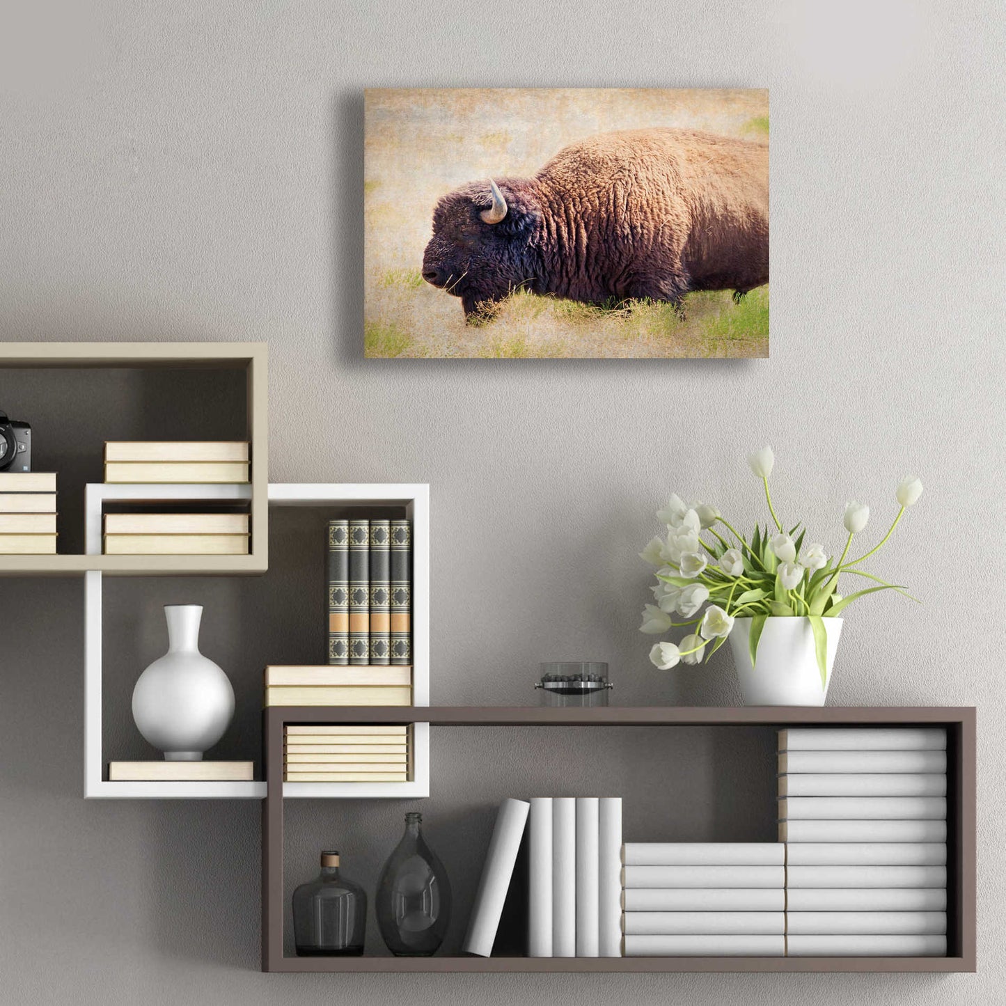 Epic Art 'Buffalo II' by Debra Van Swearingen, Acrylic Glass Wall Art,24x16