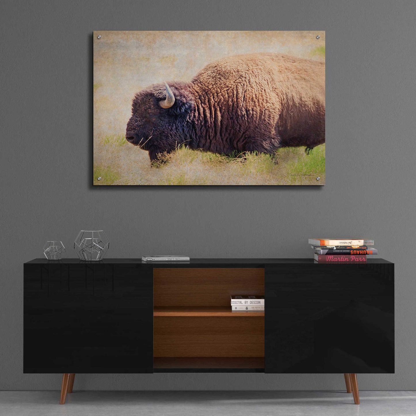 Epic Art 'Buffalo II' by Debra Van Swearingen, Acrylic Glass Wall Art,36x24