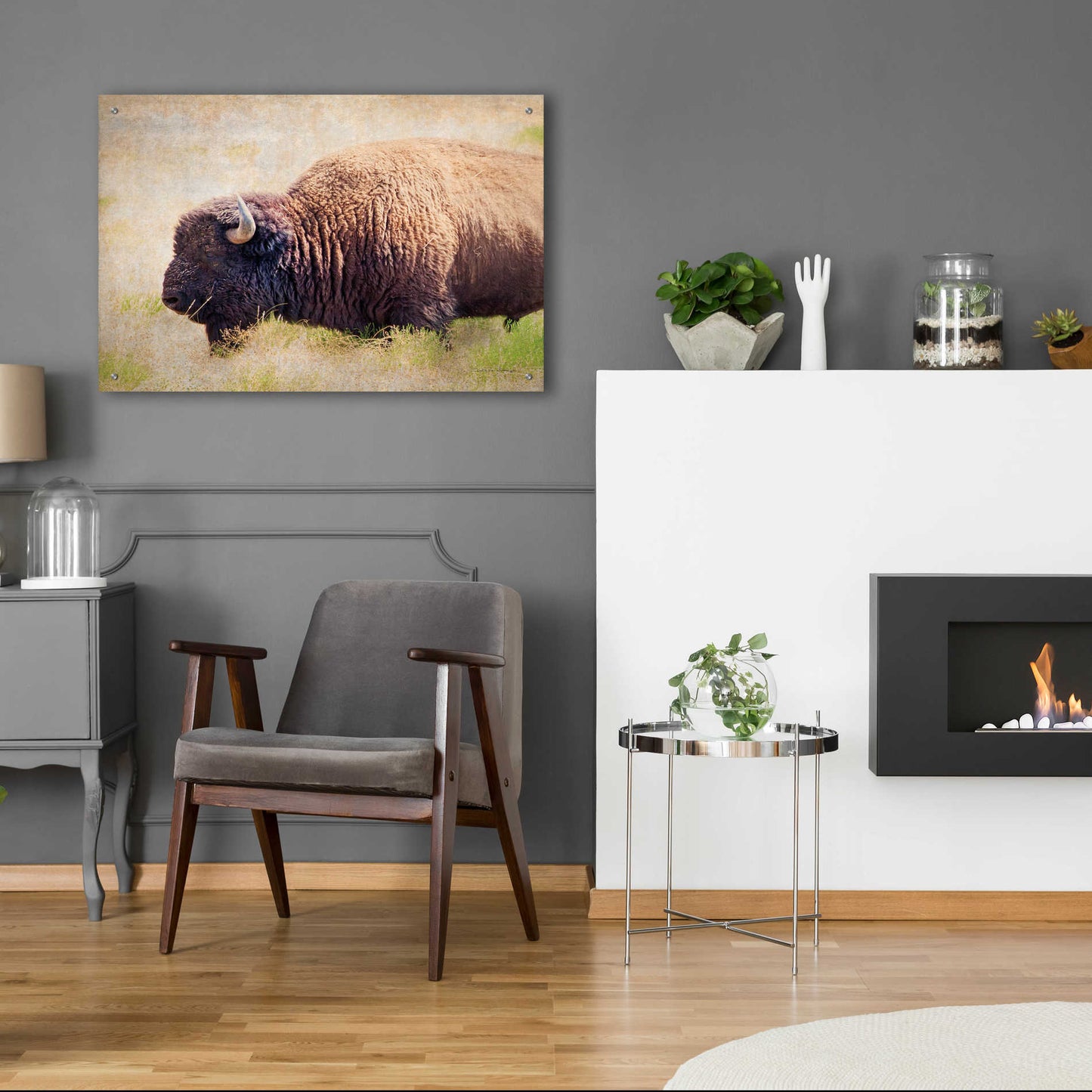 Epic Art 'Buffalo II' by Debra Van Swearingen, Acrylic Glass Wall Art,36x24