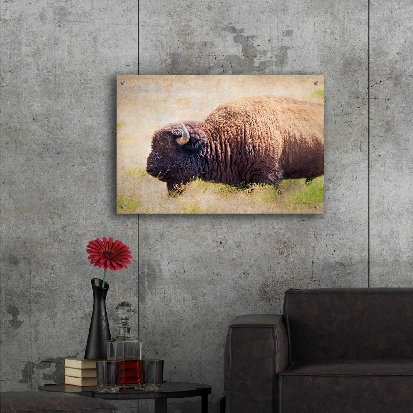 Epic Art 'Buffalo II' by Debra Van Swearingen, Acrylic Glass Wall Art,36x24