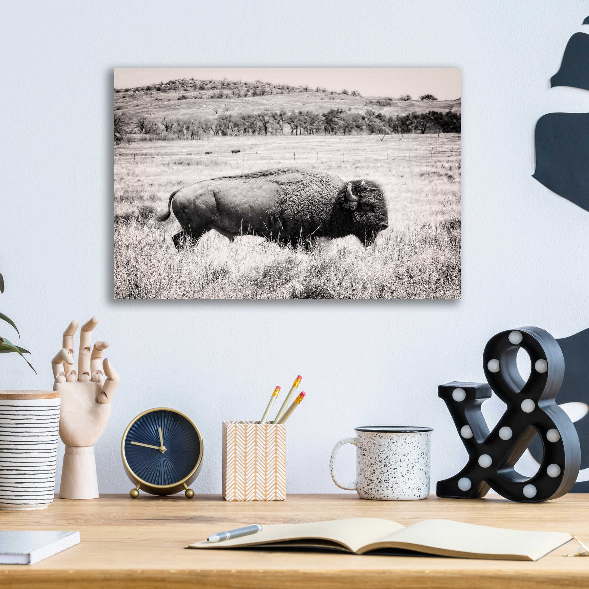 Epic Art 'Buffalo I BW' by Debra Van Swearingen, Acrylic Glass Wall Art,16x12