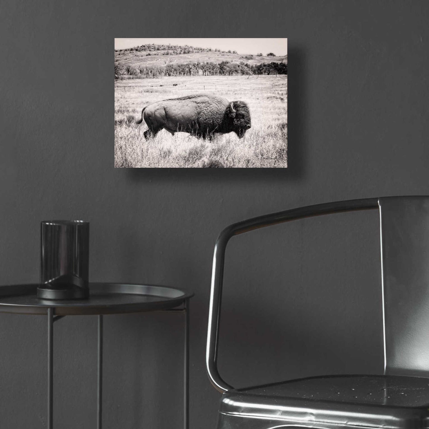 Epic Art 'Buffalo I BW' by Debra Van Swearingen, Acrylic Glass Wall Art,16x12