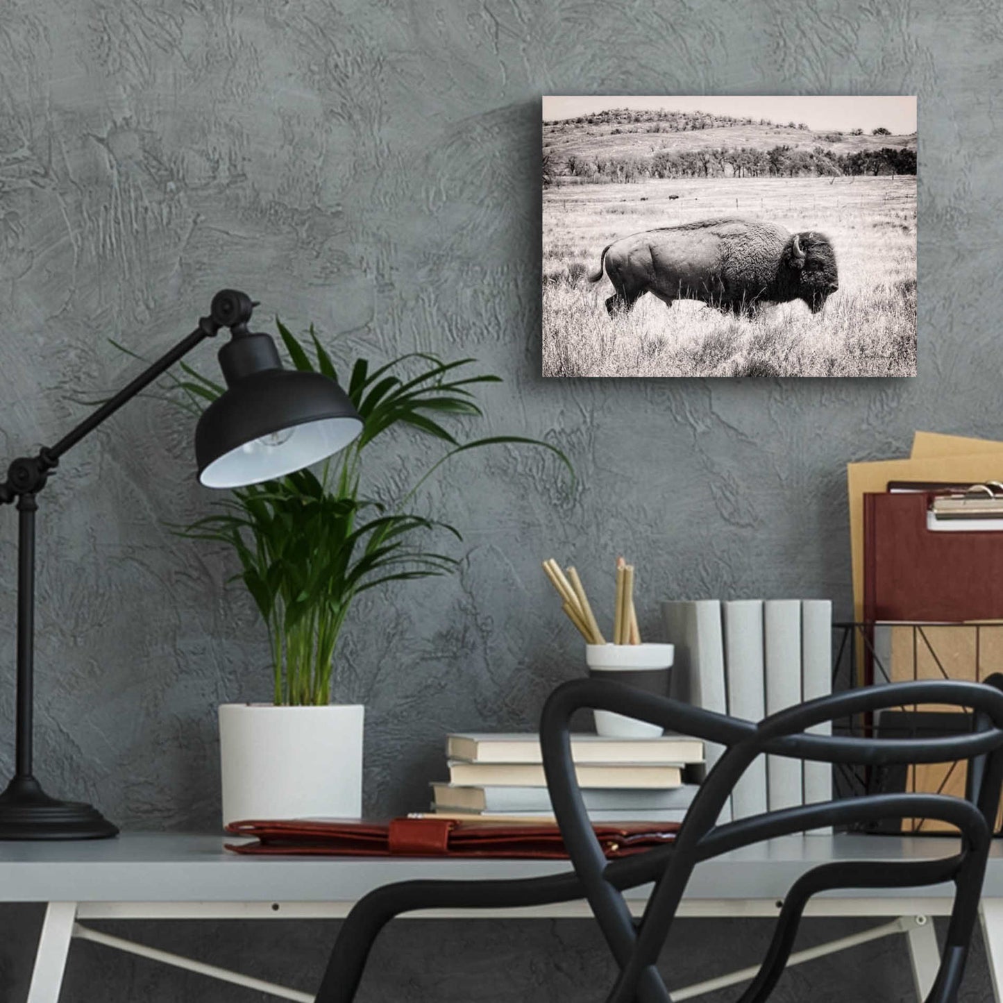 Epic Art 'Buffalo I BW' by Debra Van Swearingen, Acrylic Glass Wall Art,16x12