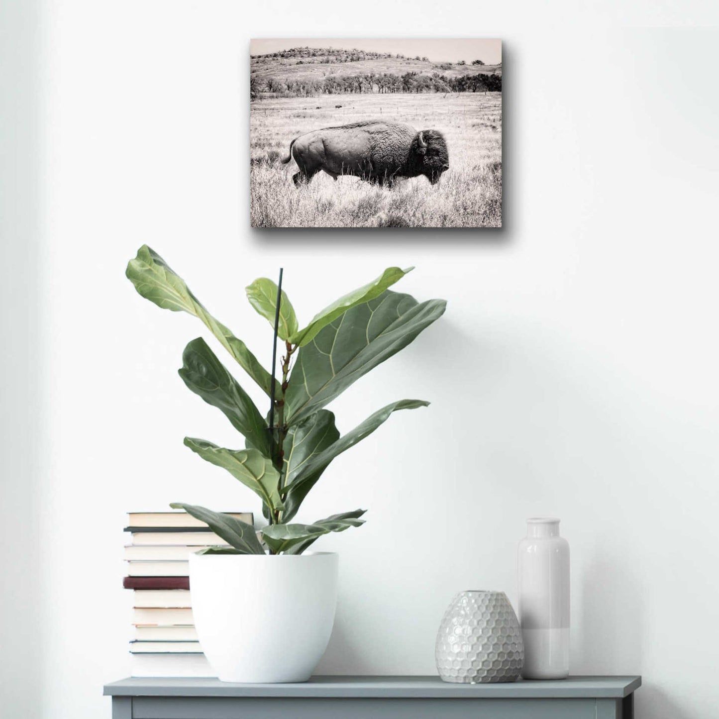 Epic Art 'Buffalo I BW' by Debra Van Swearingen, Acrylic Glass Wall Art,16x12